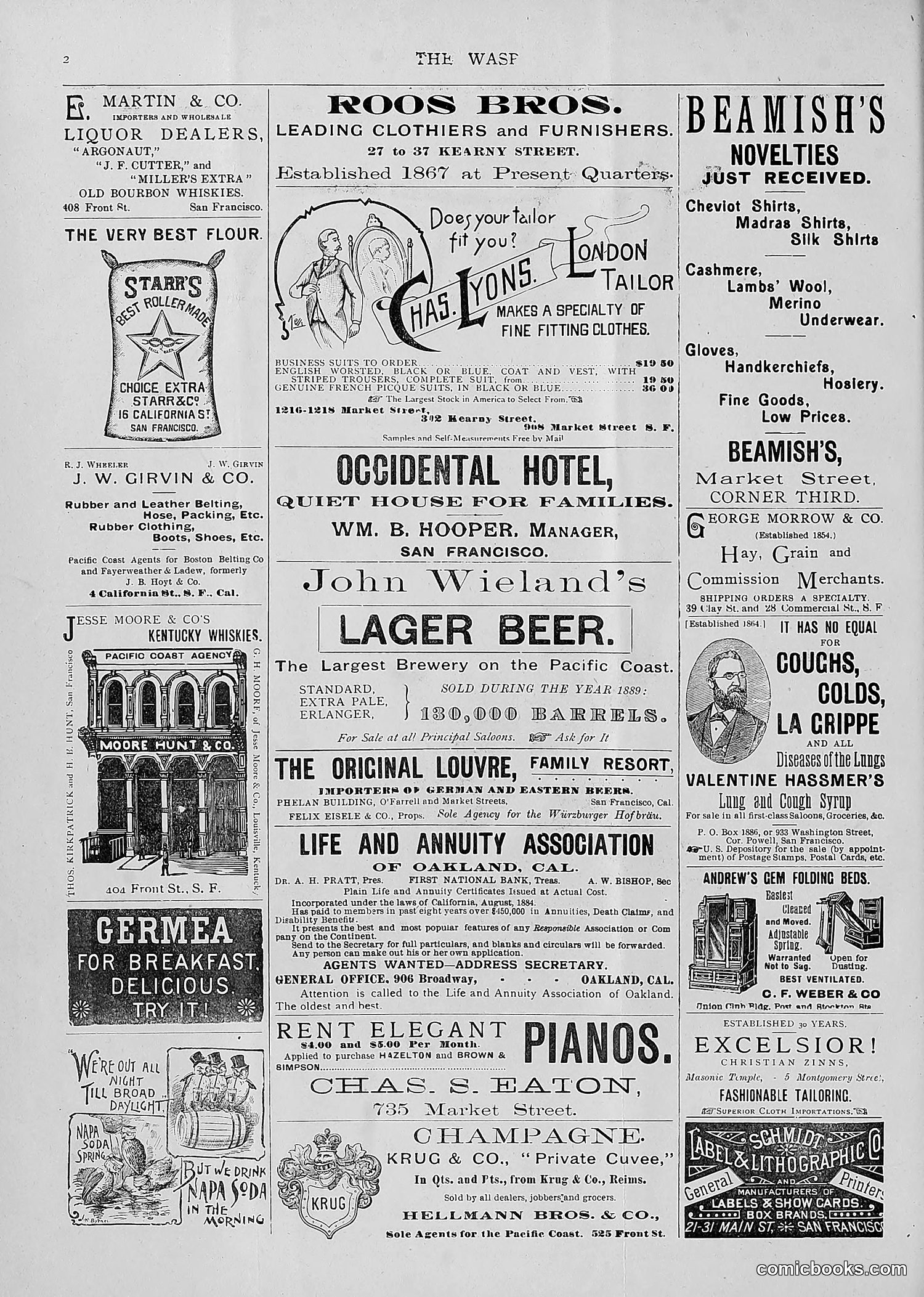 The Wasp — 1893 — page 29 of 514