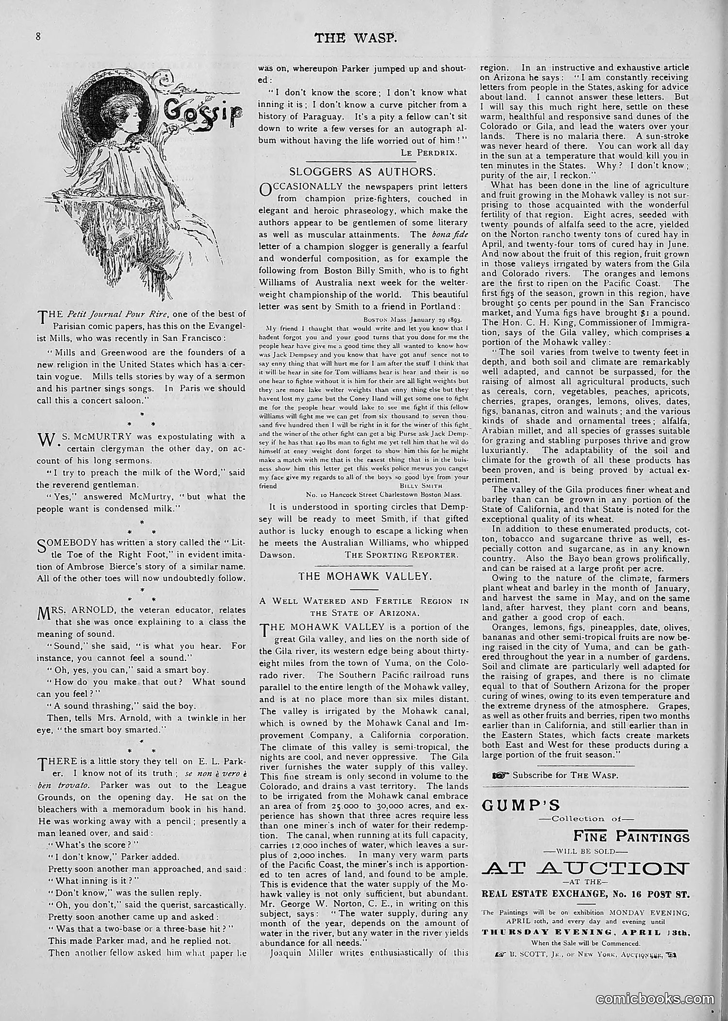 The Wasp — 1893 — page 281 of 514