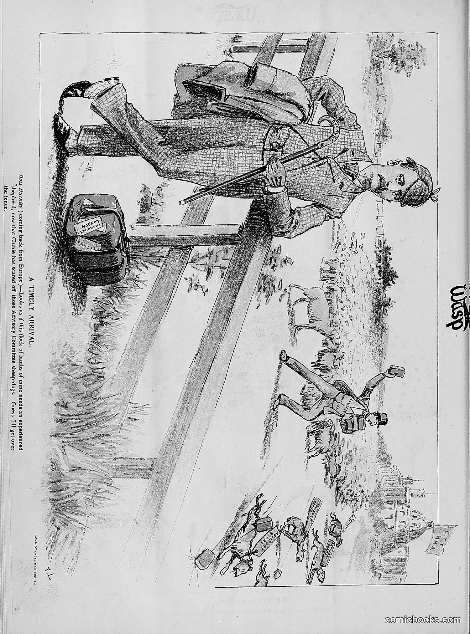 The Wasp — 1893 — page 283 of 514
