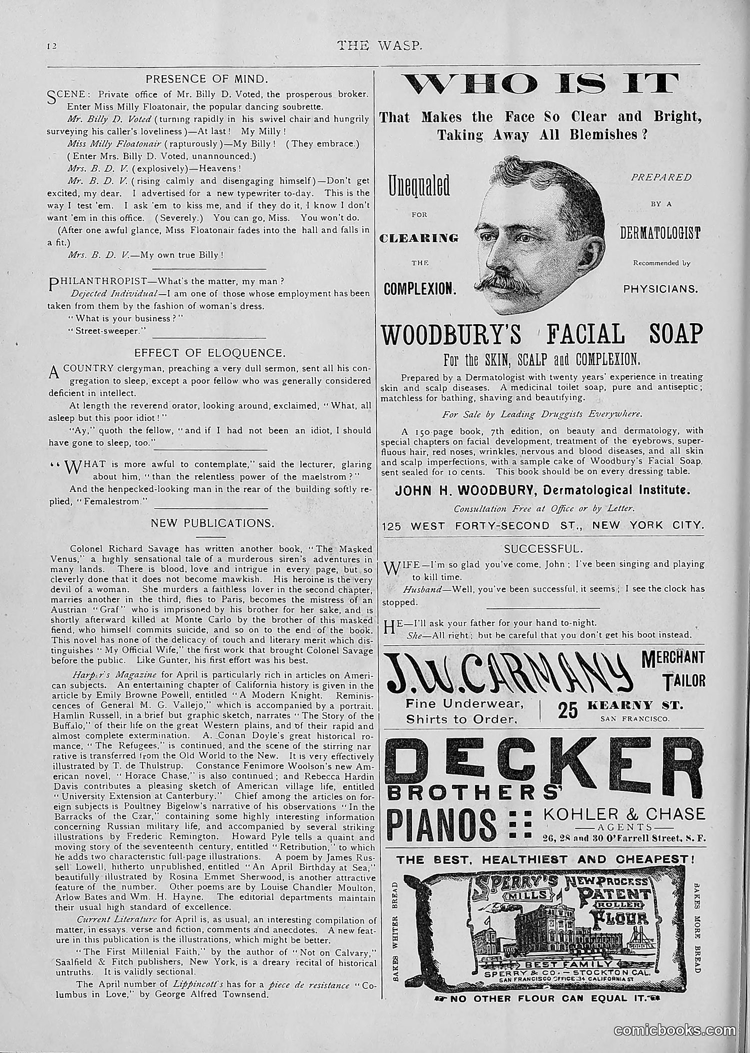 The Wasp — 1893 — page 285 of 514
