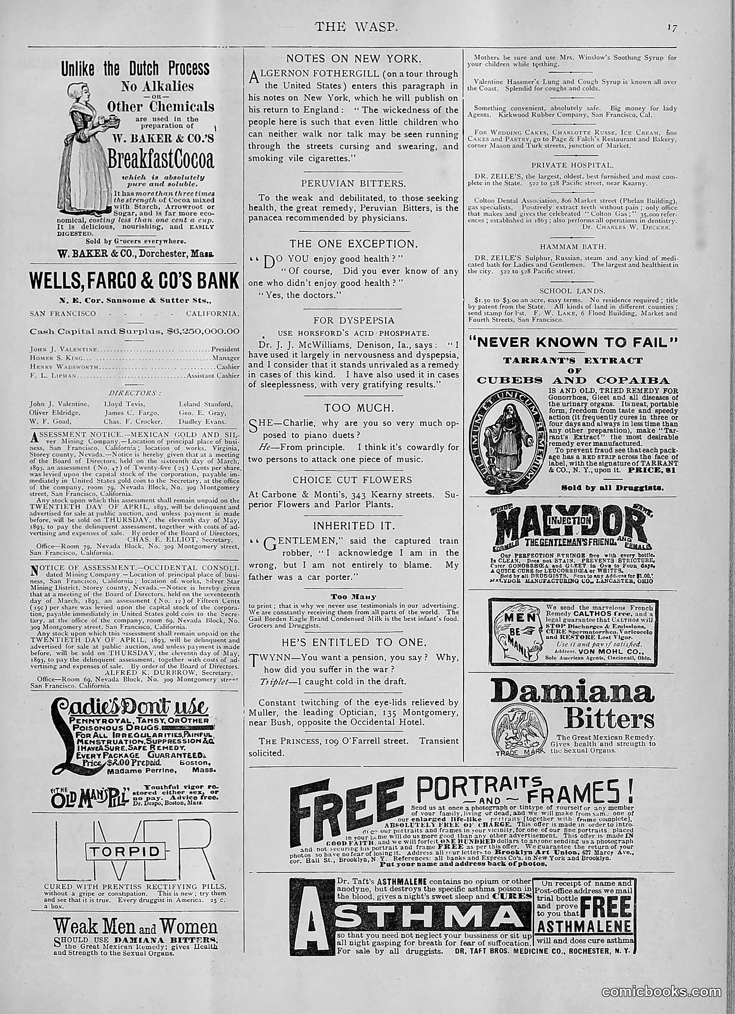 The Wasp — 1893 — page 290 of 514