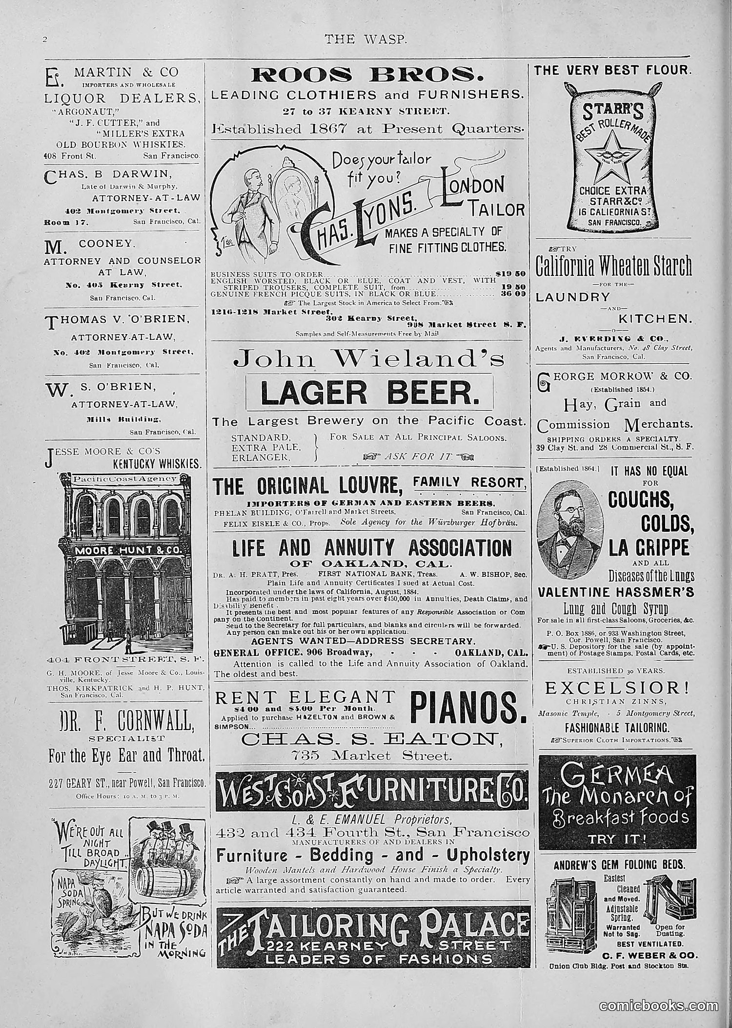 The Wasp — 1893 — page 295 of 514