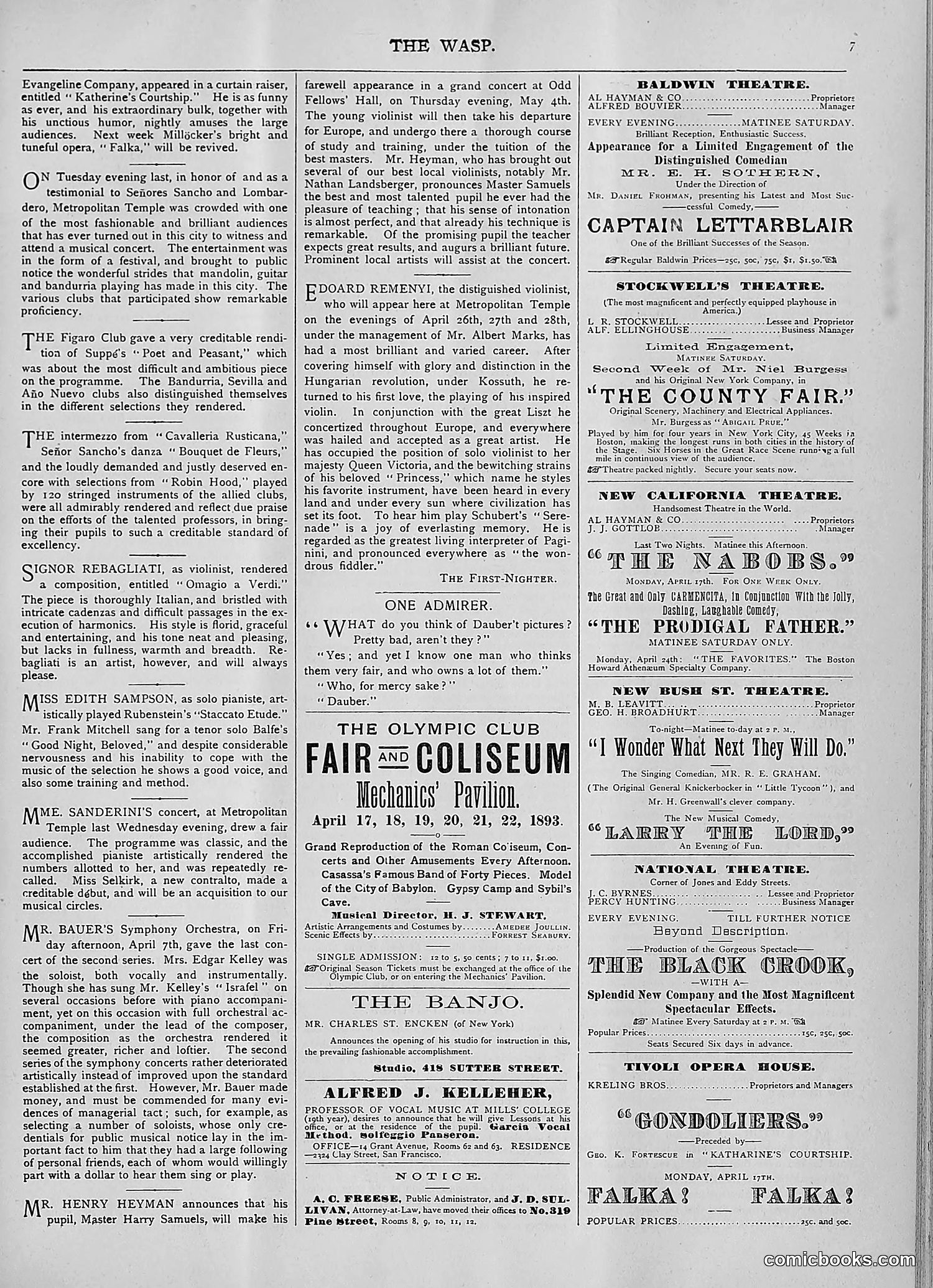 The Wasp — 1893 — page 300 of 514