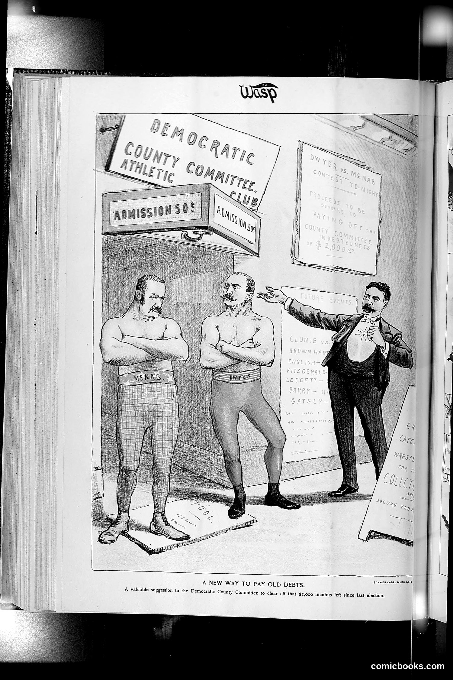 The Wasp — 1893 — page 303 of 514