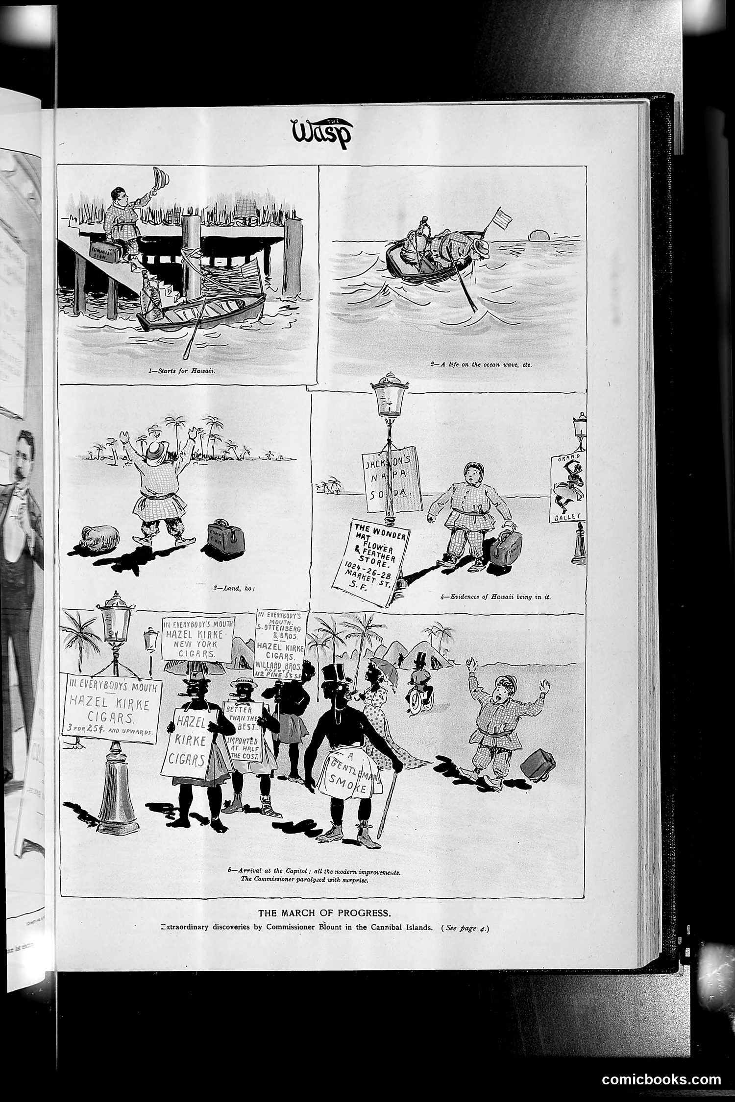 The Wasp — 1893 — page 304 of 514