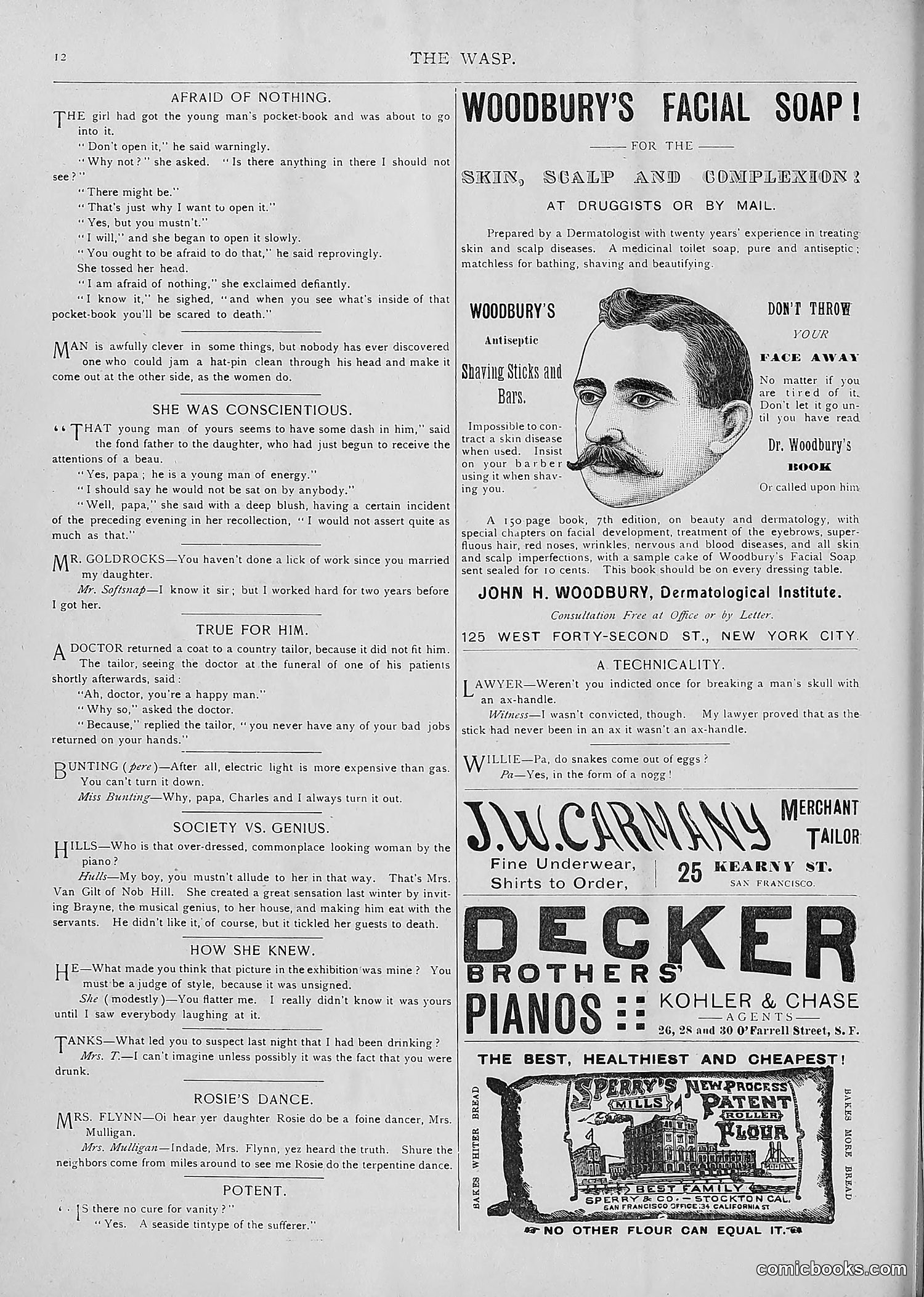 The Wasp — 1893 — page 307 of 514