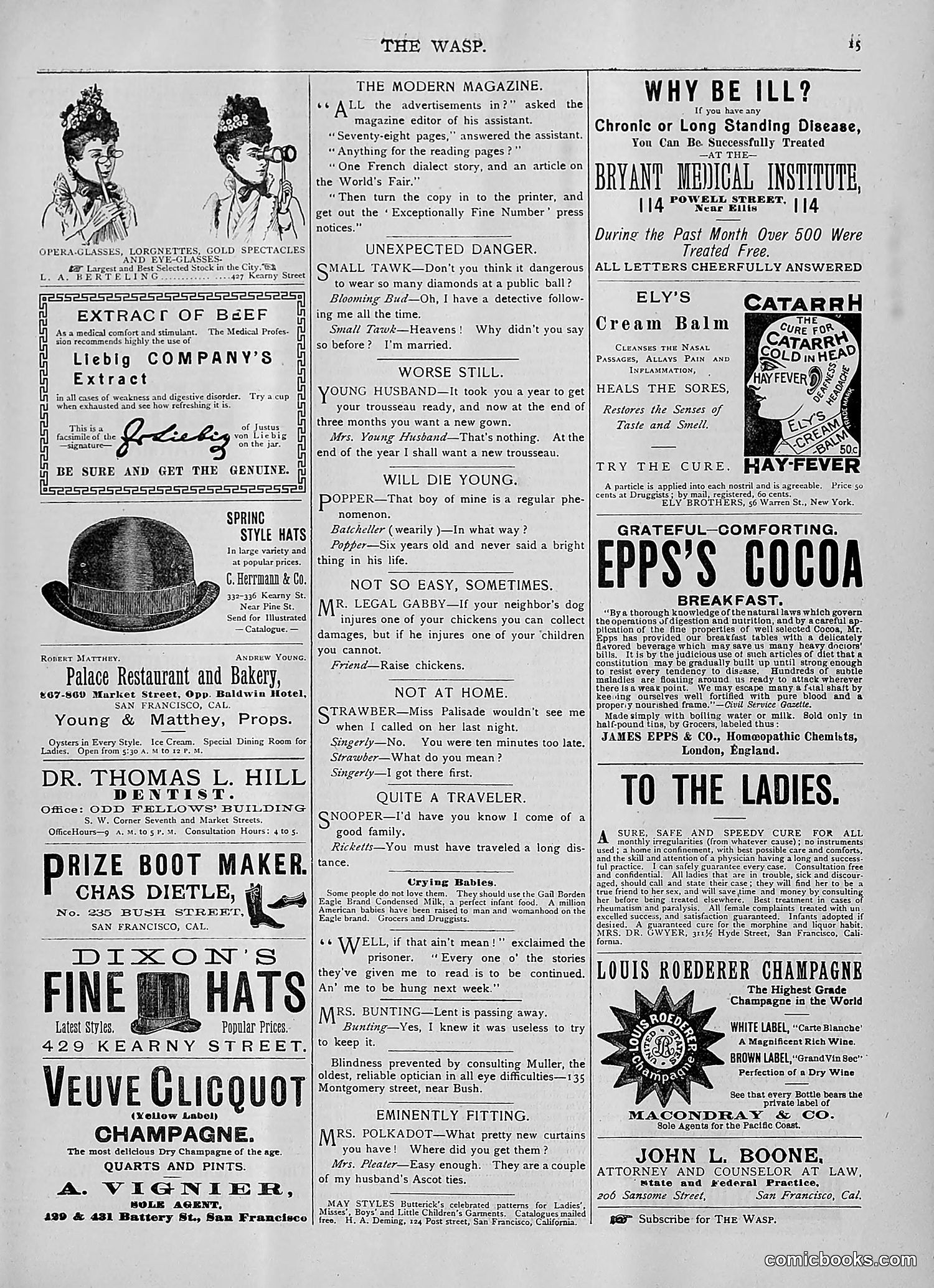 The Wasp — 1893 — page 310 of 514