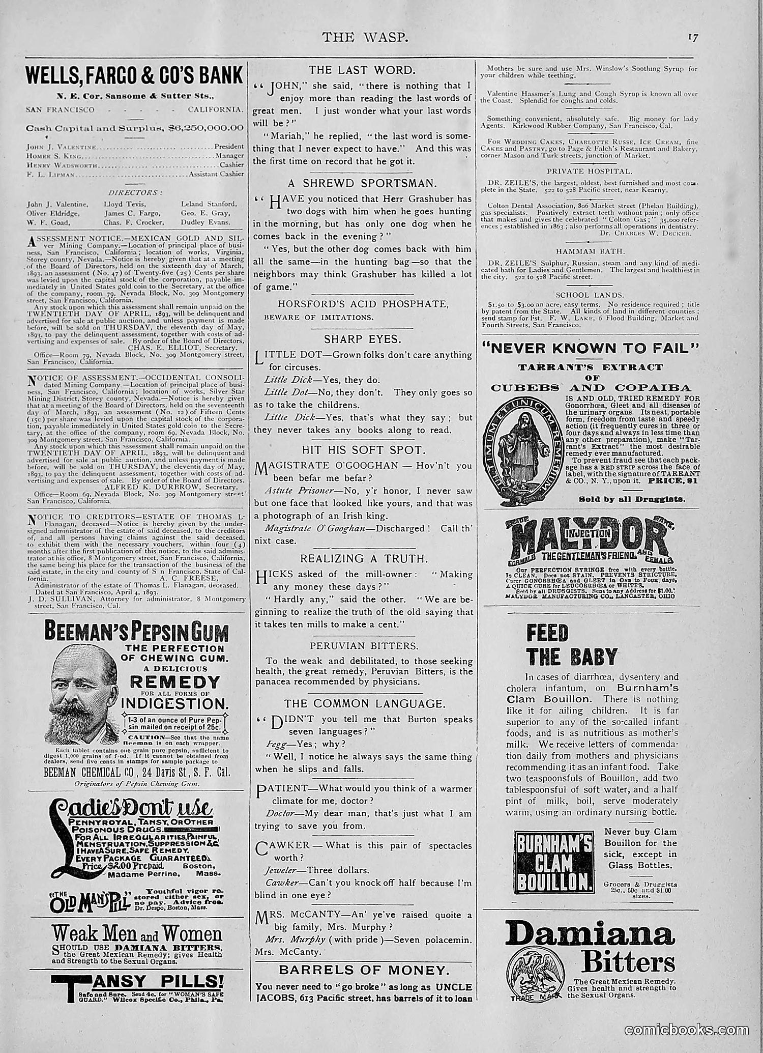 The Wasp — 1893 — page 312 of 514