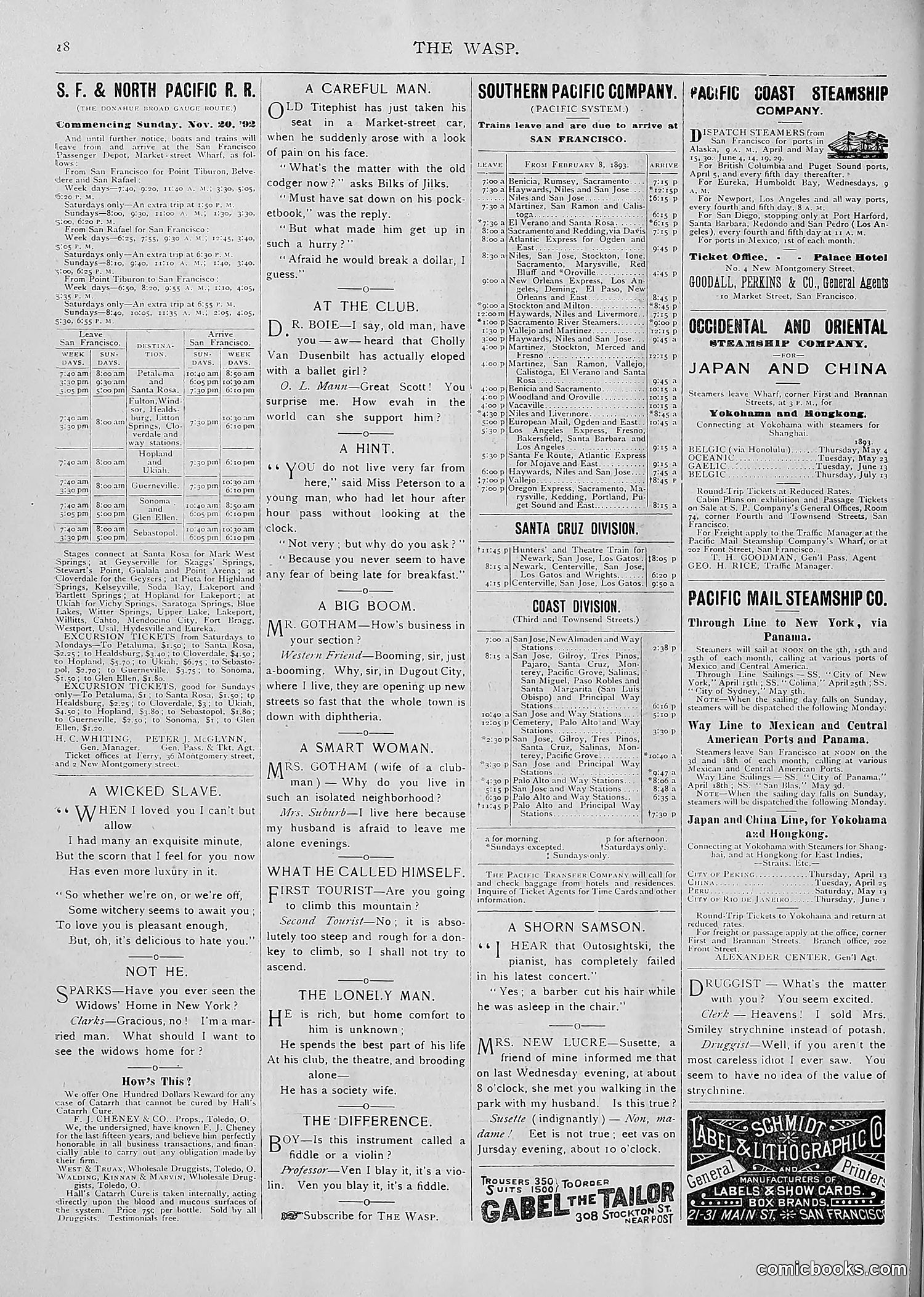 The Wasp — 1893 — page 313 of 514
