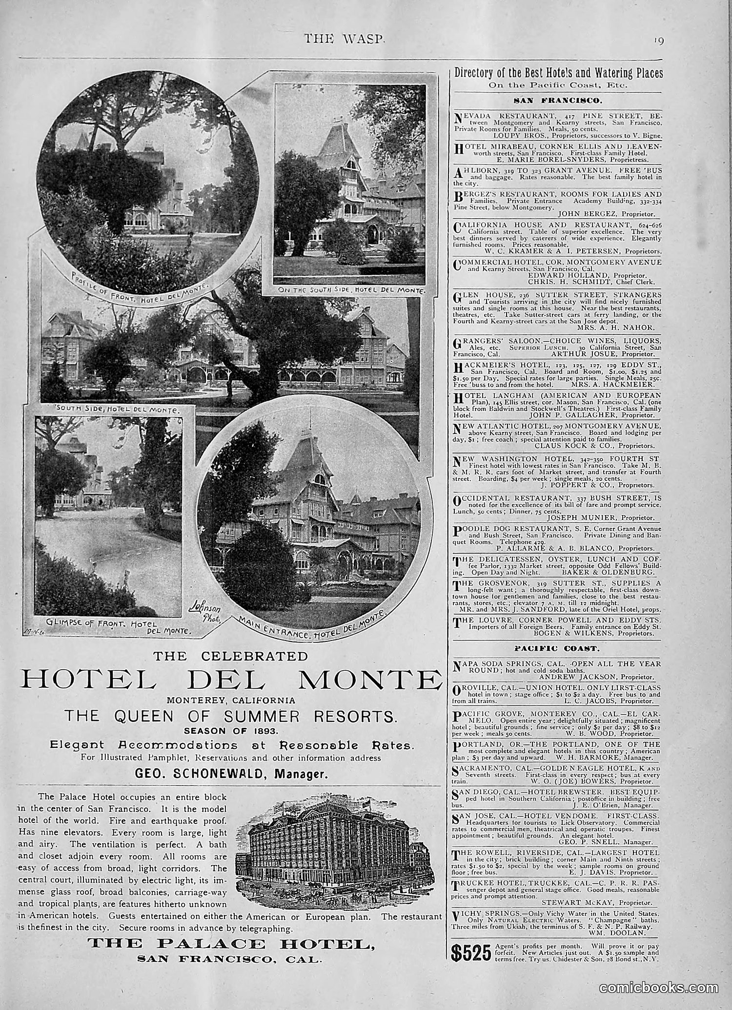 The Wasp — 1893 — page 314 of 514
