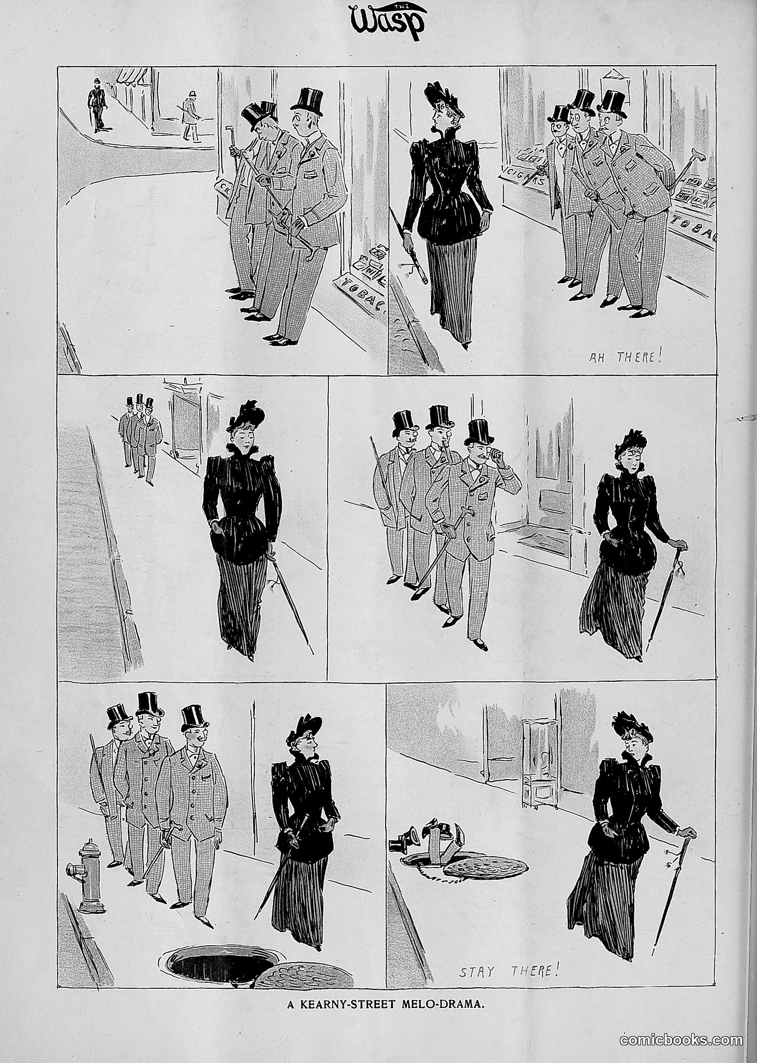 The Wasp — 1893 — page 315 of 514