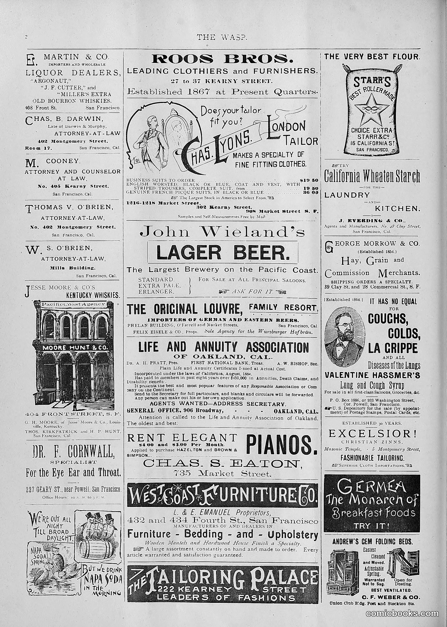 The Wasp — 1893 — page 317 of 514