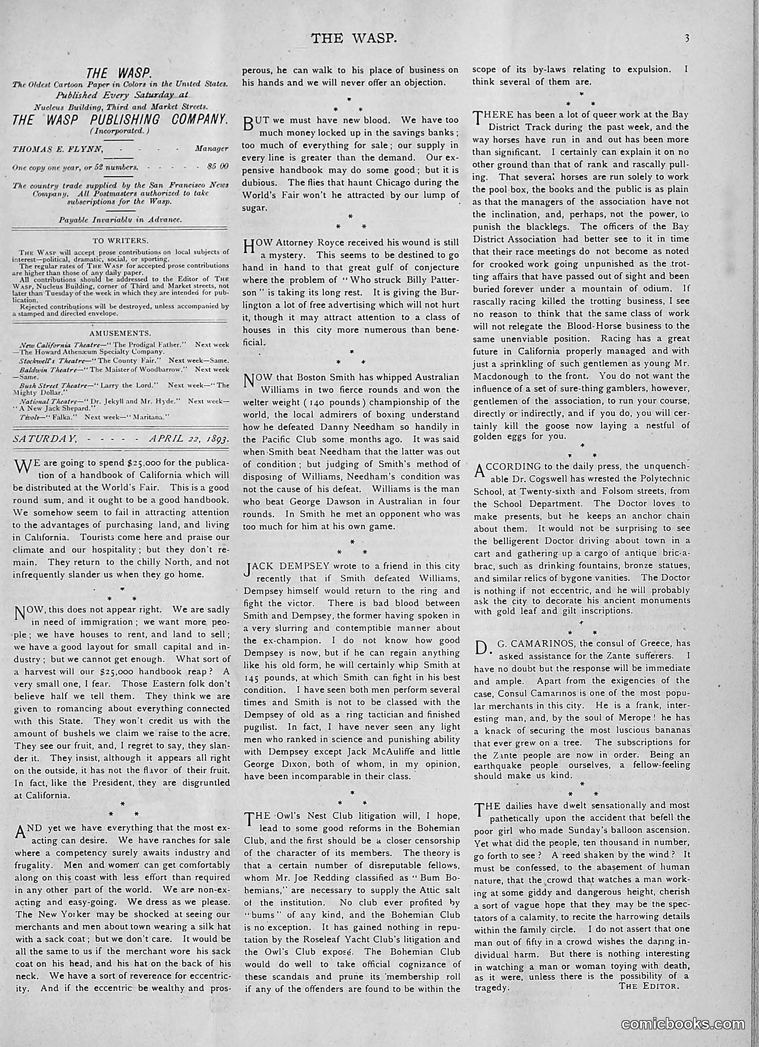 The Wasp — 1893 — page 318 of 514