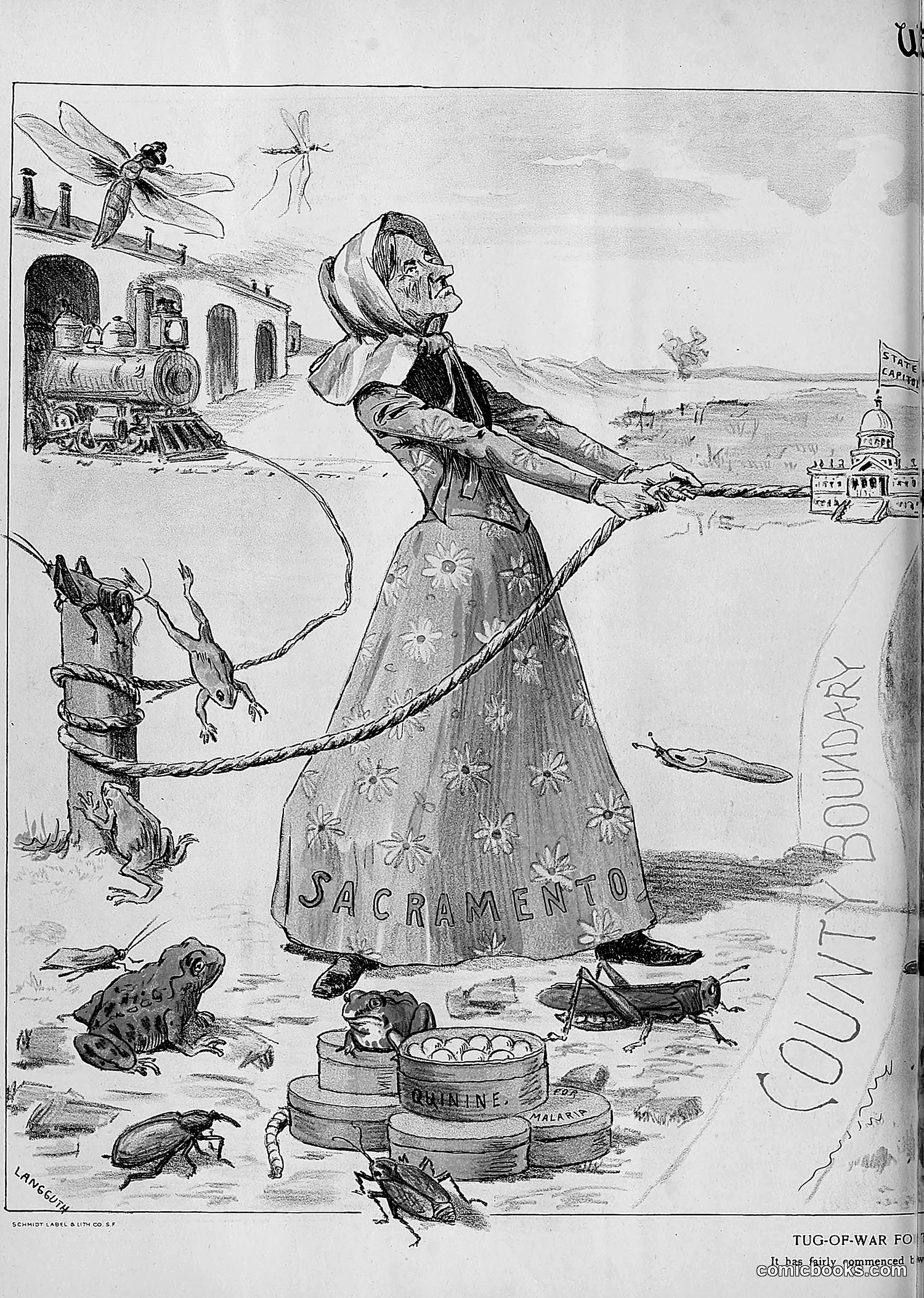 The Wasp — 1893 — page 323 of 514