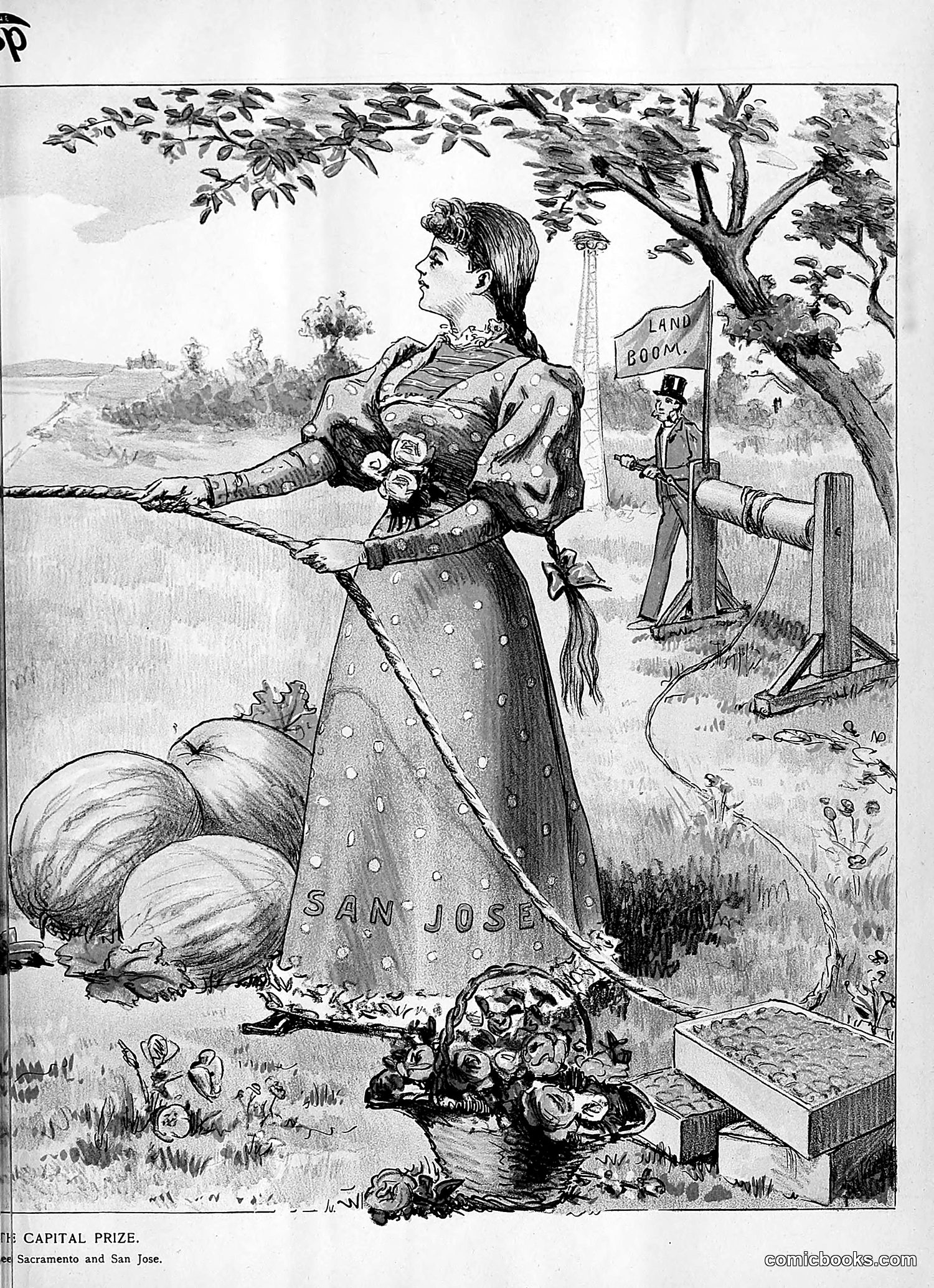 The Wasp — 1893 — page 324 of 514