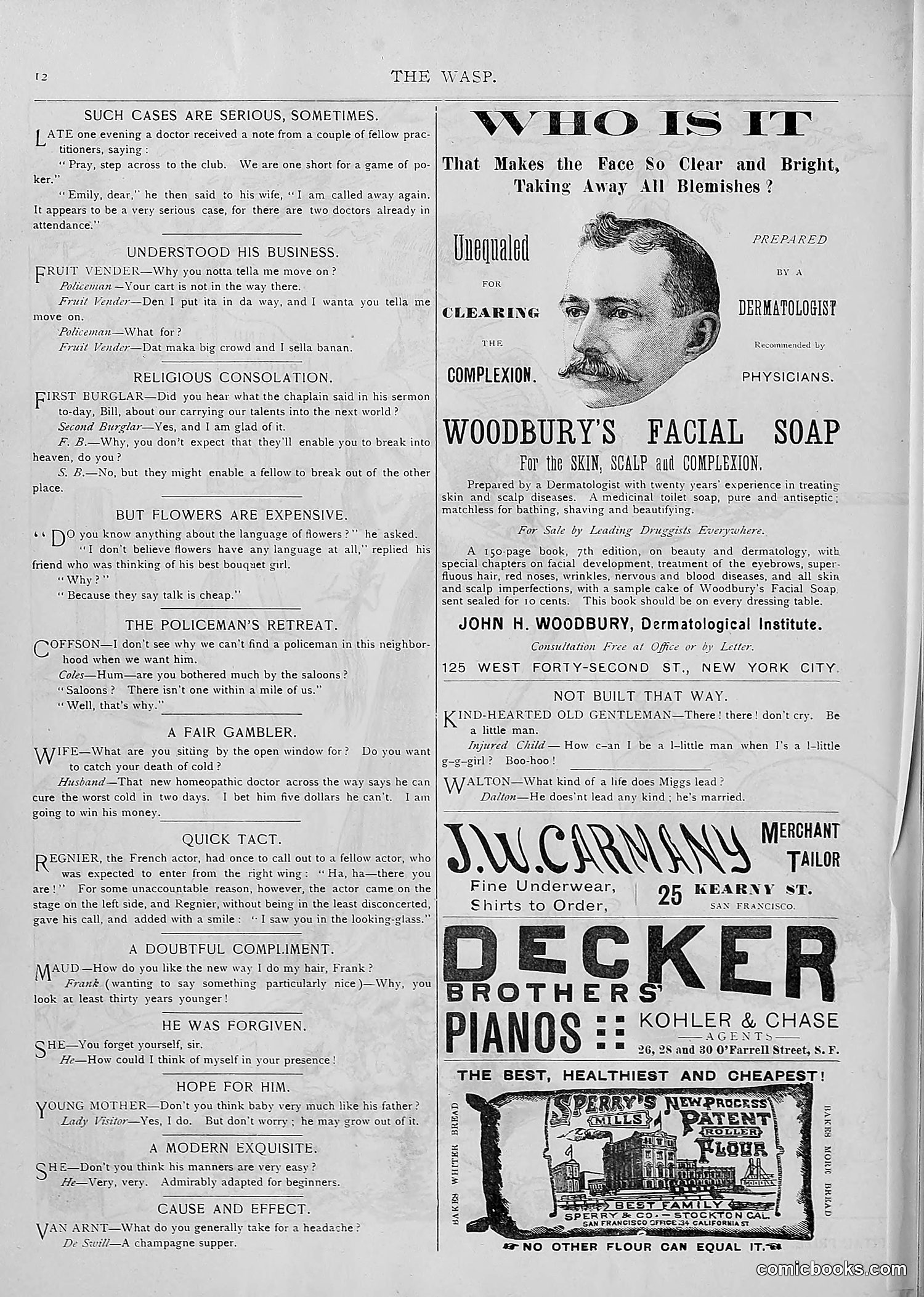 The Wasp — 1893 — page 325 of 514