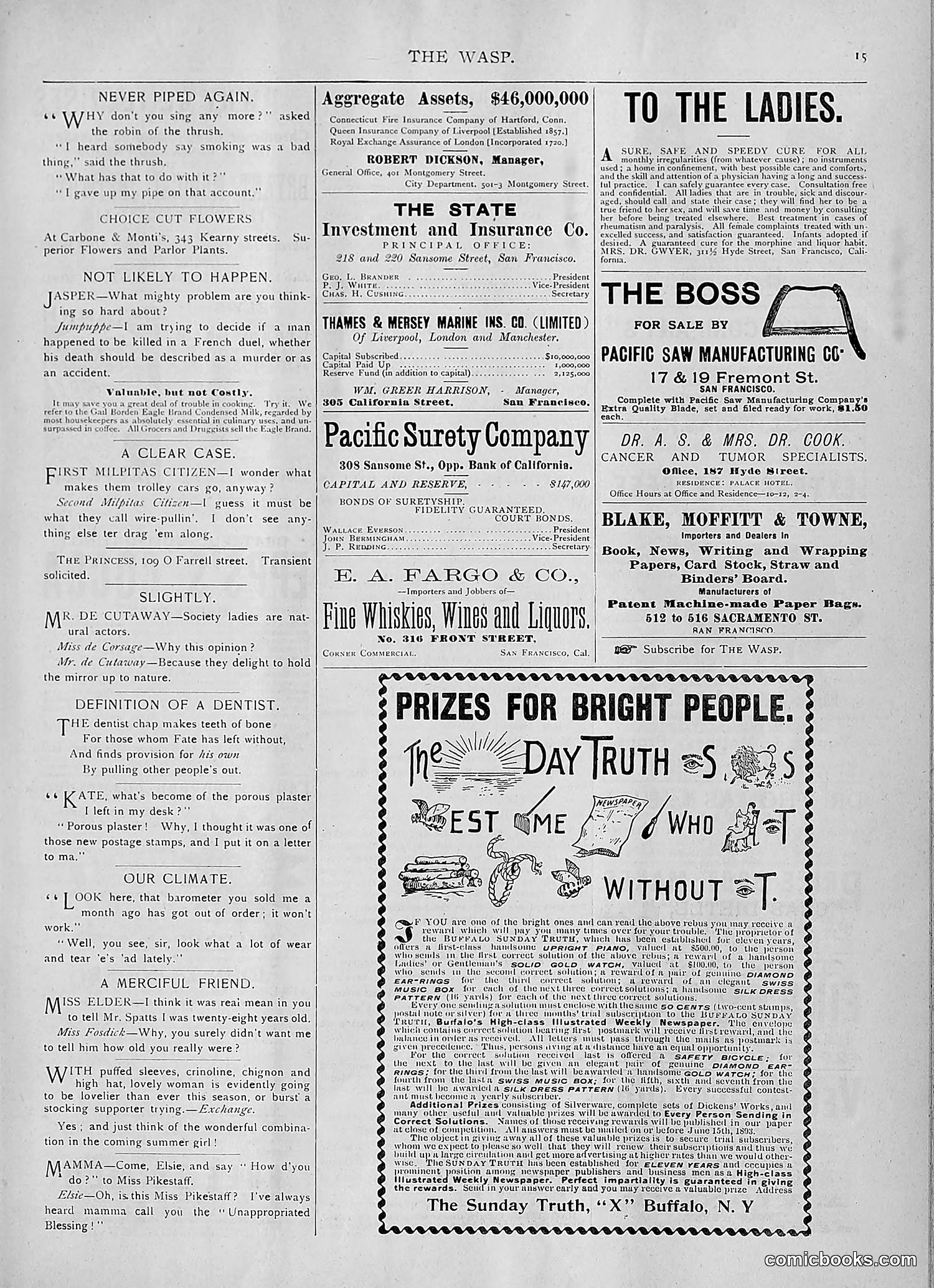 The Wasp — 1893 — page 328 of 514