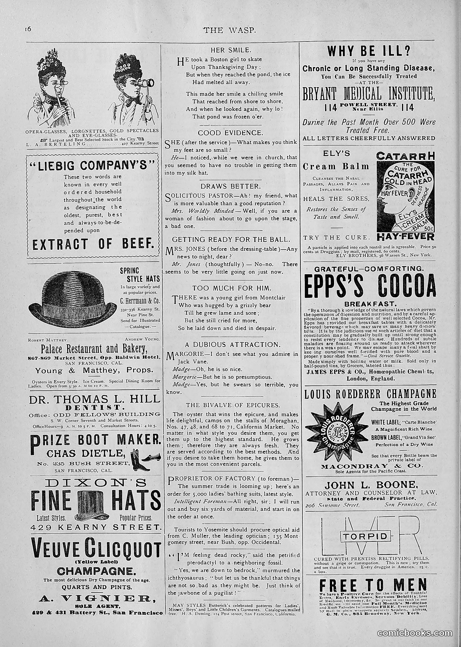 The Wasp — 1893 — page 329 of 514