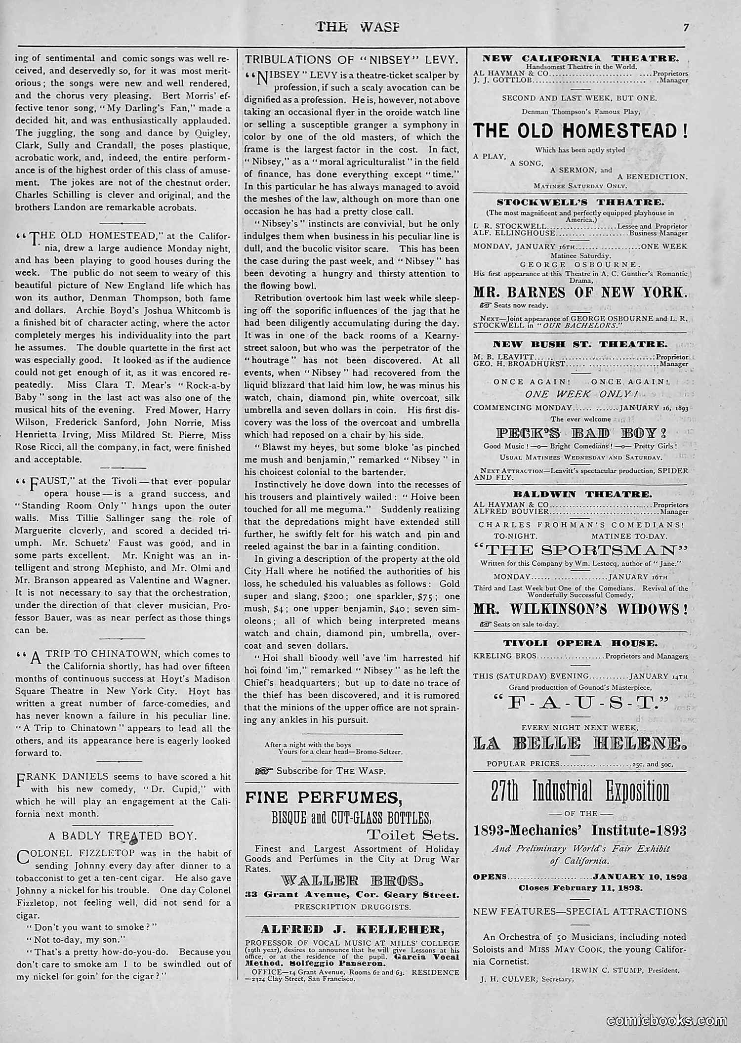 The Wasp — 1893 — page 34 of 514