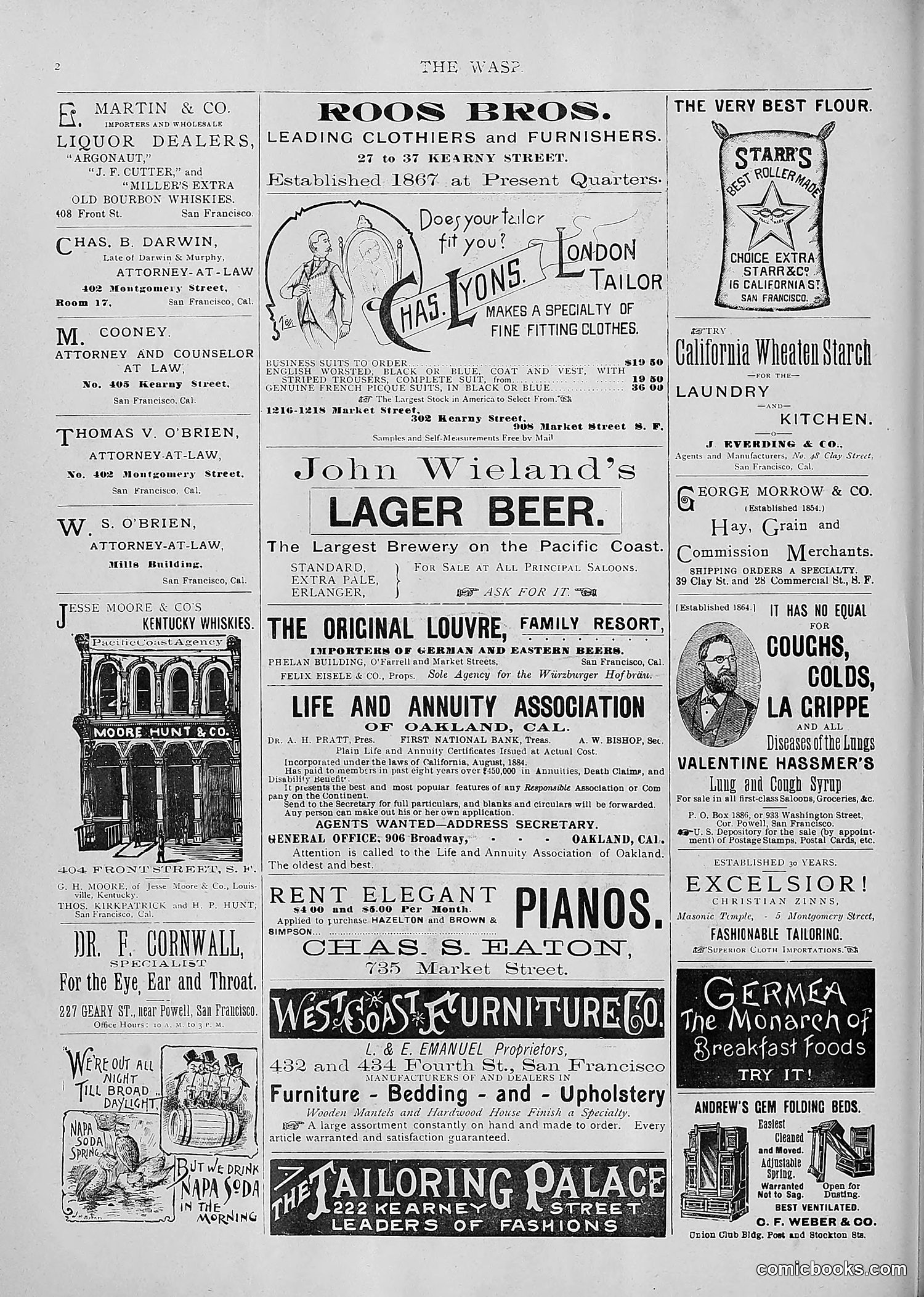 The Wasp — 1893 — page 335 of 514
