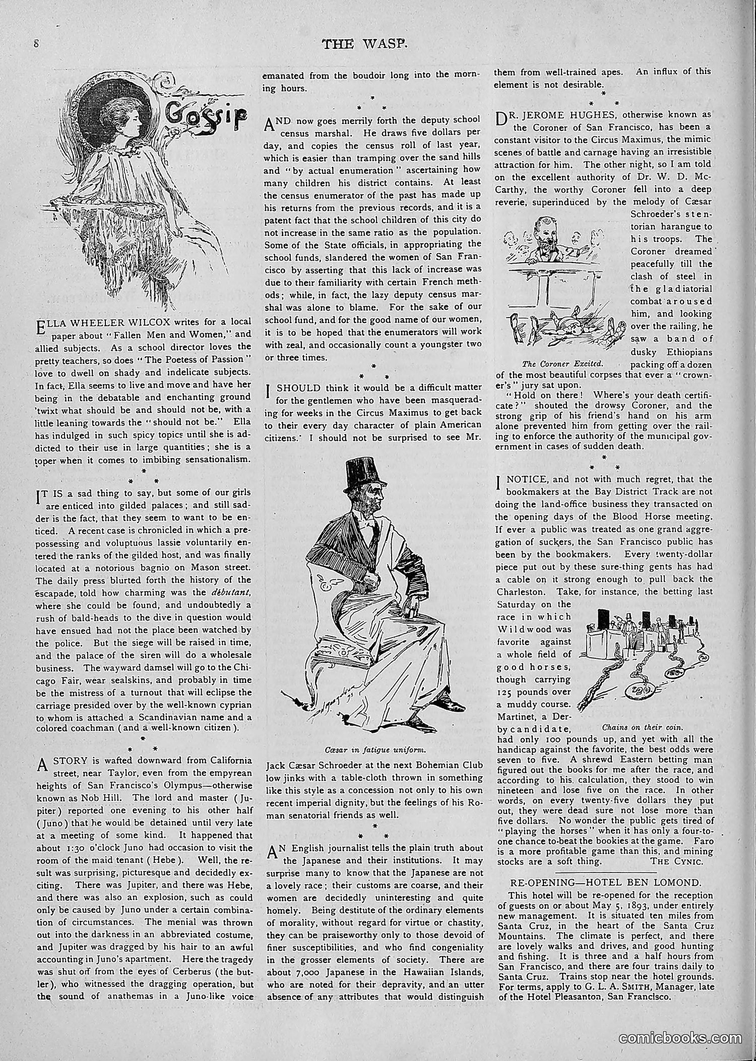 The Wasp — 1893 — page 341 of 514