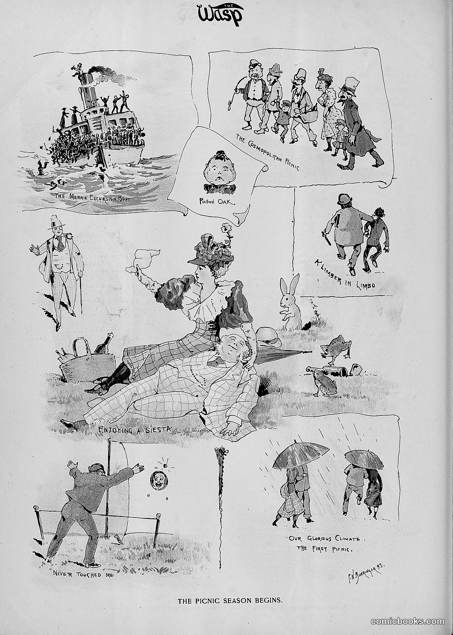 The Wasp — 1893 — page 343 of 514