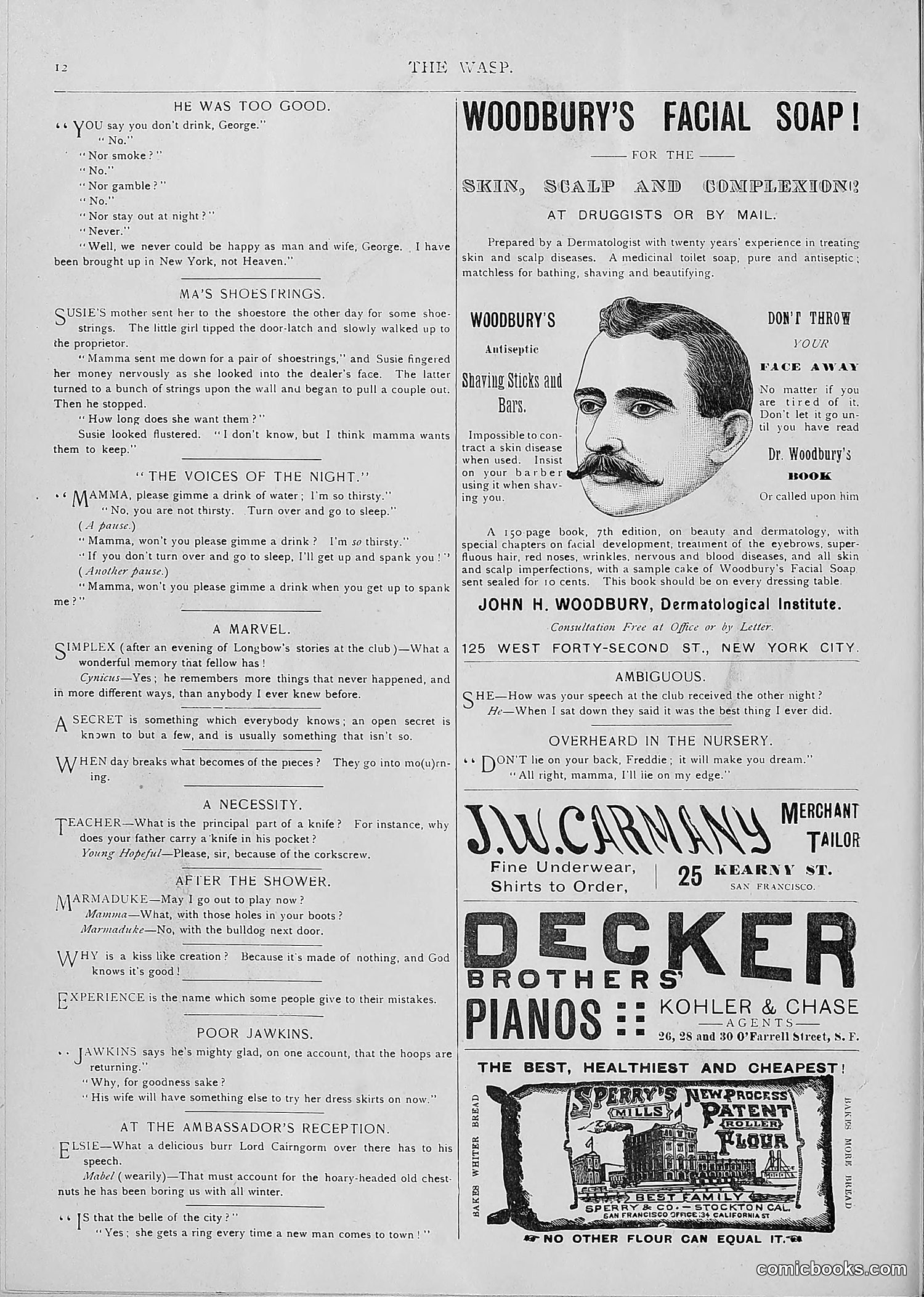 The Wasp — 1893 — page 345 of 514