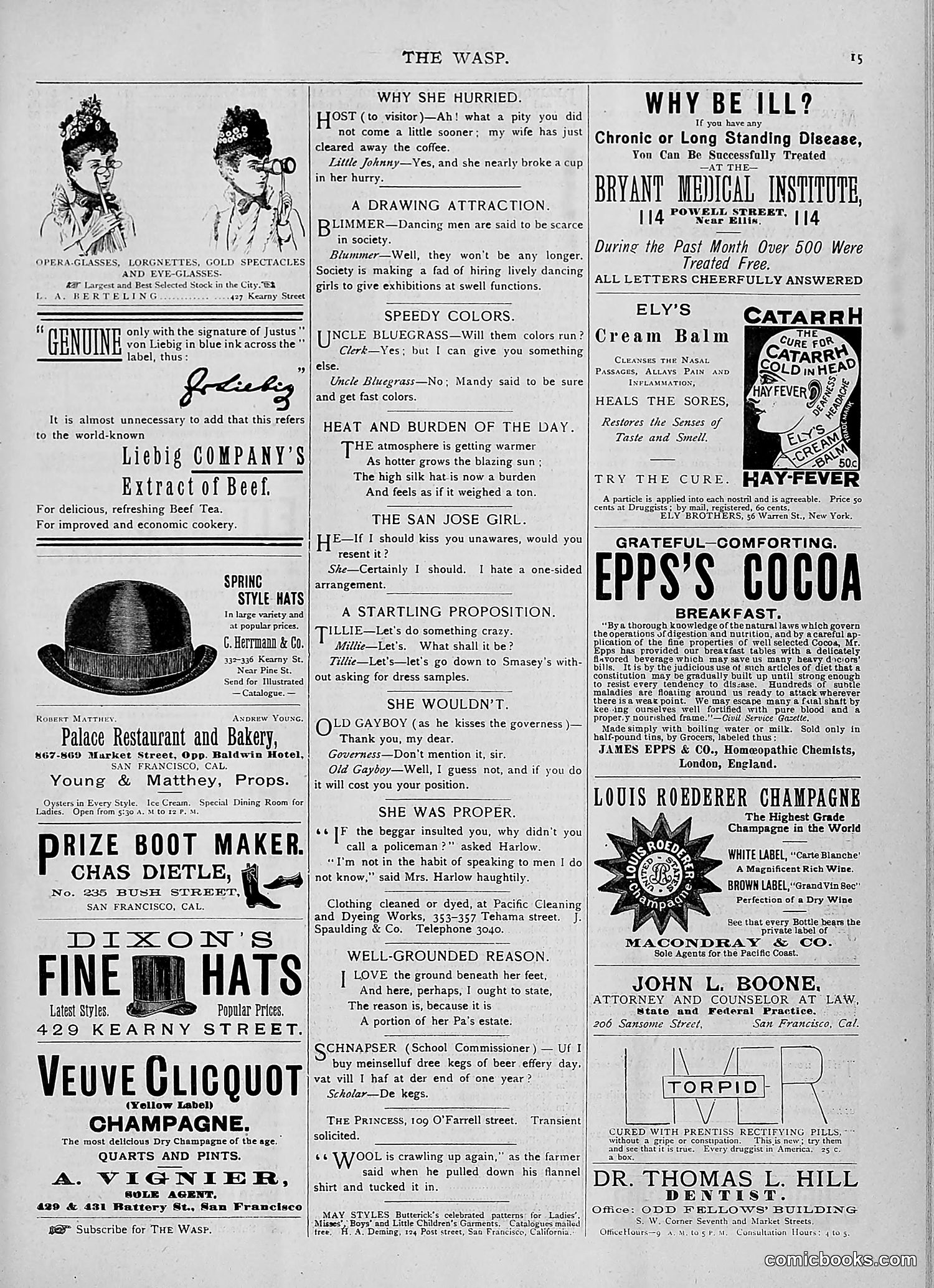 The Wasp — 1893 — page 348 of 514