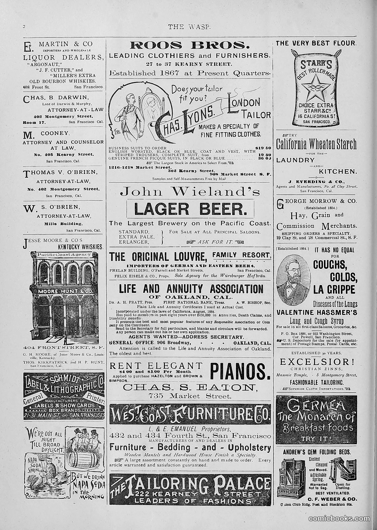 The Wasp — 1893 — page 355 of 514