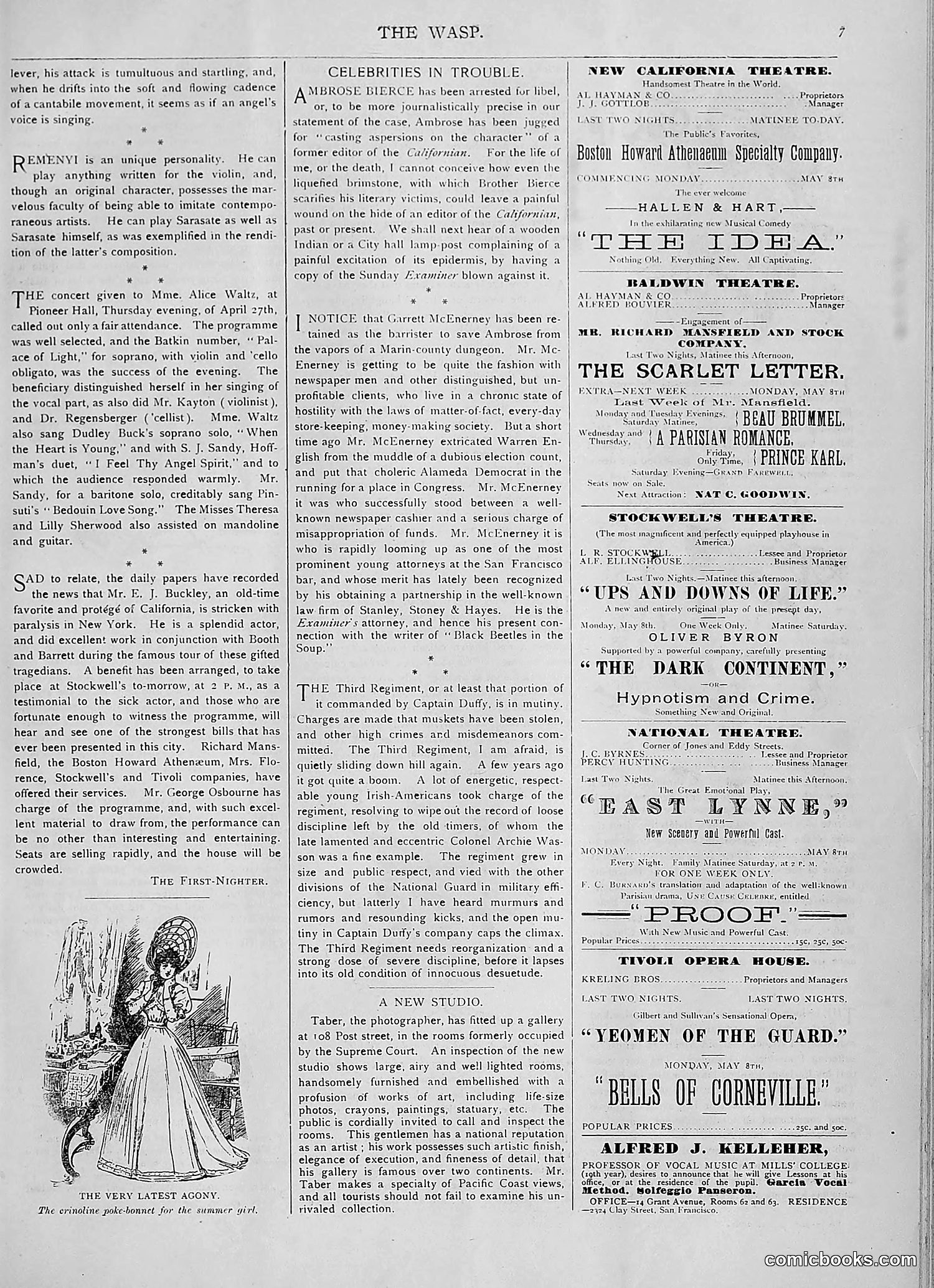 The Wasp — 1893 — page 360 of 514