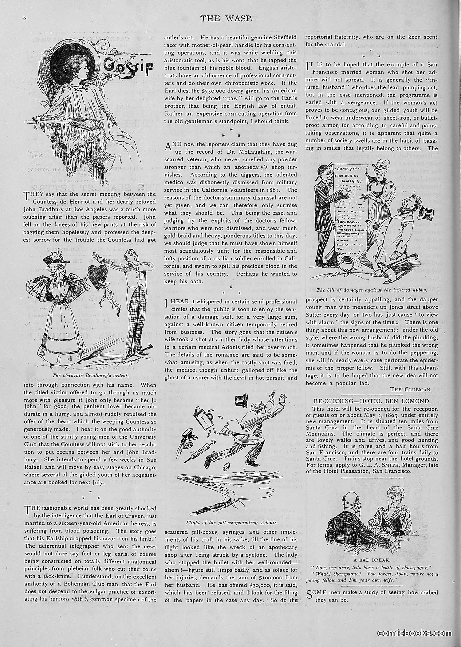 The Wasp — 1893 — page 361 of 514