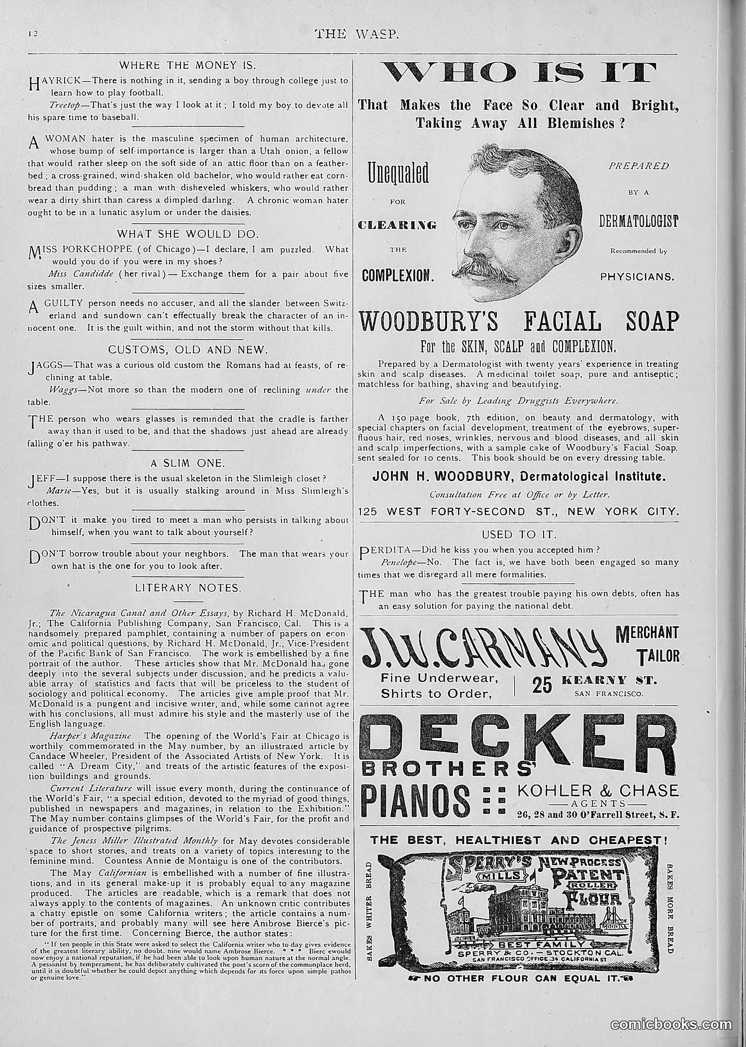 The Wasp — 1893 — page 365 of 514