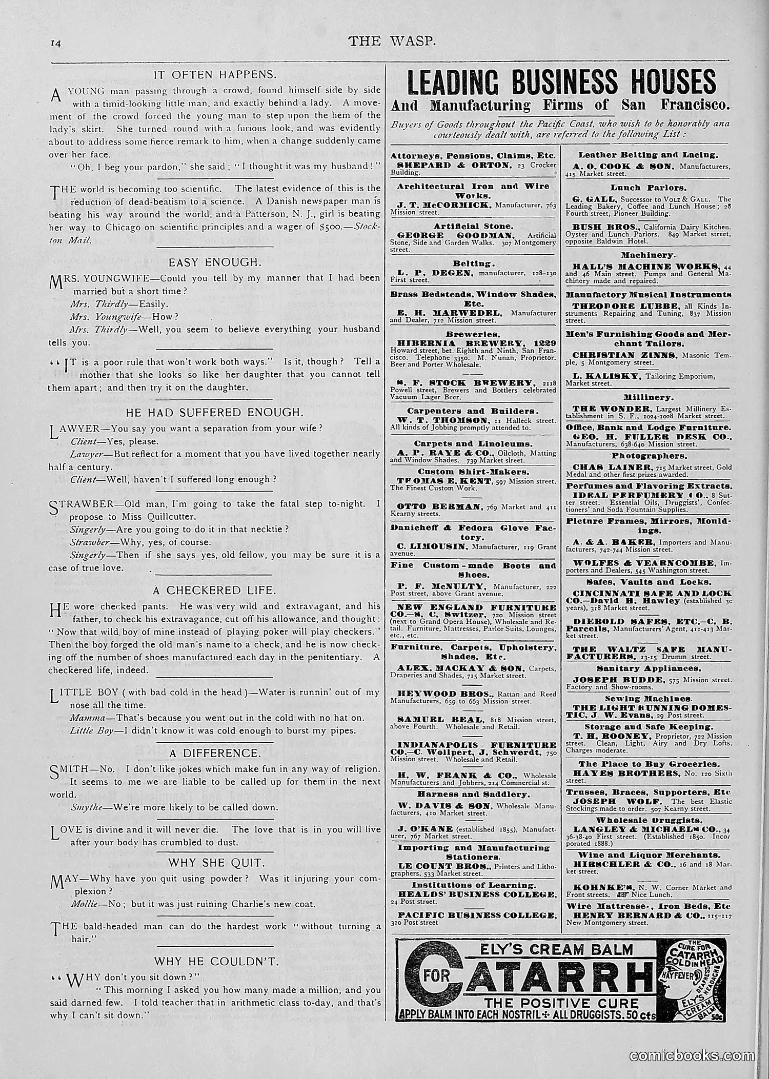 The Wasp — 1893 — page 367 of 514