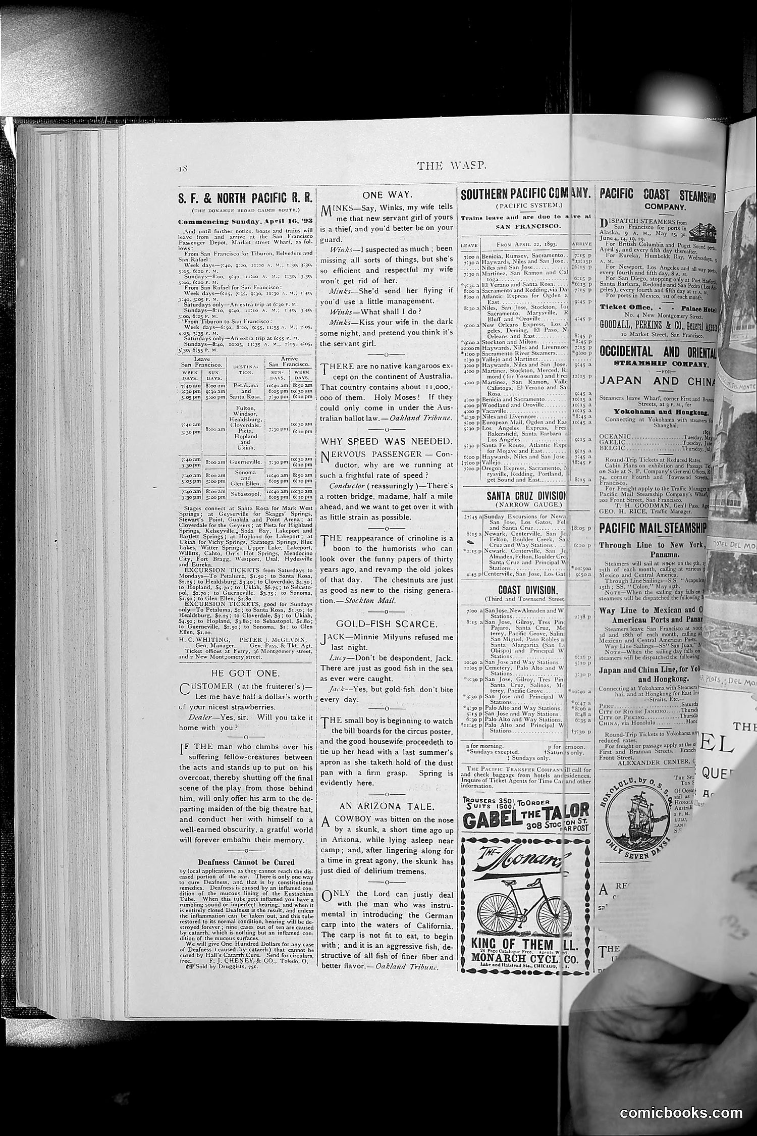 The Wasp — 1893 — page 373 of 514