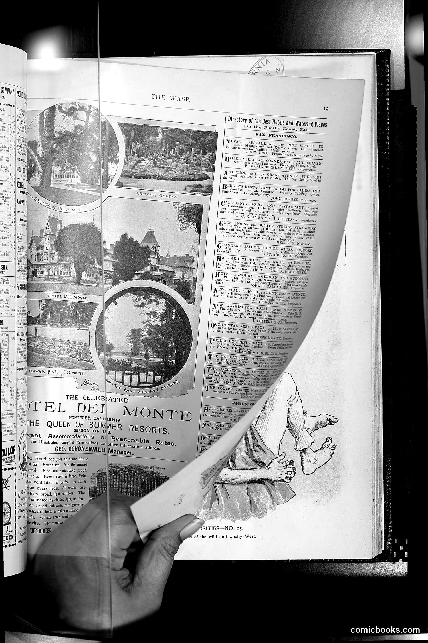 The Wasp — 1893 — page 374 of 514