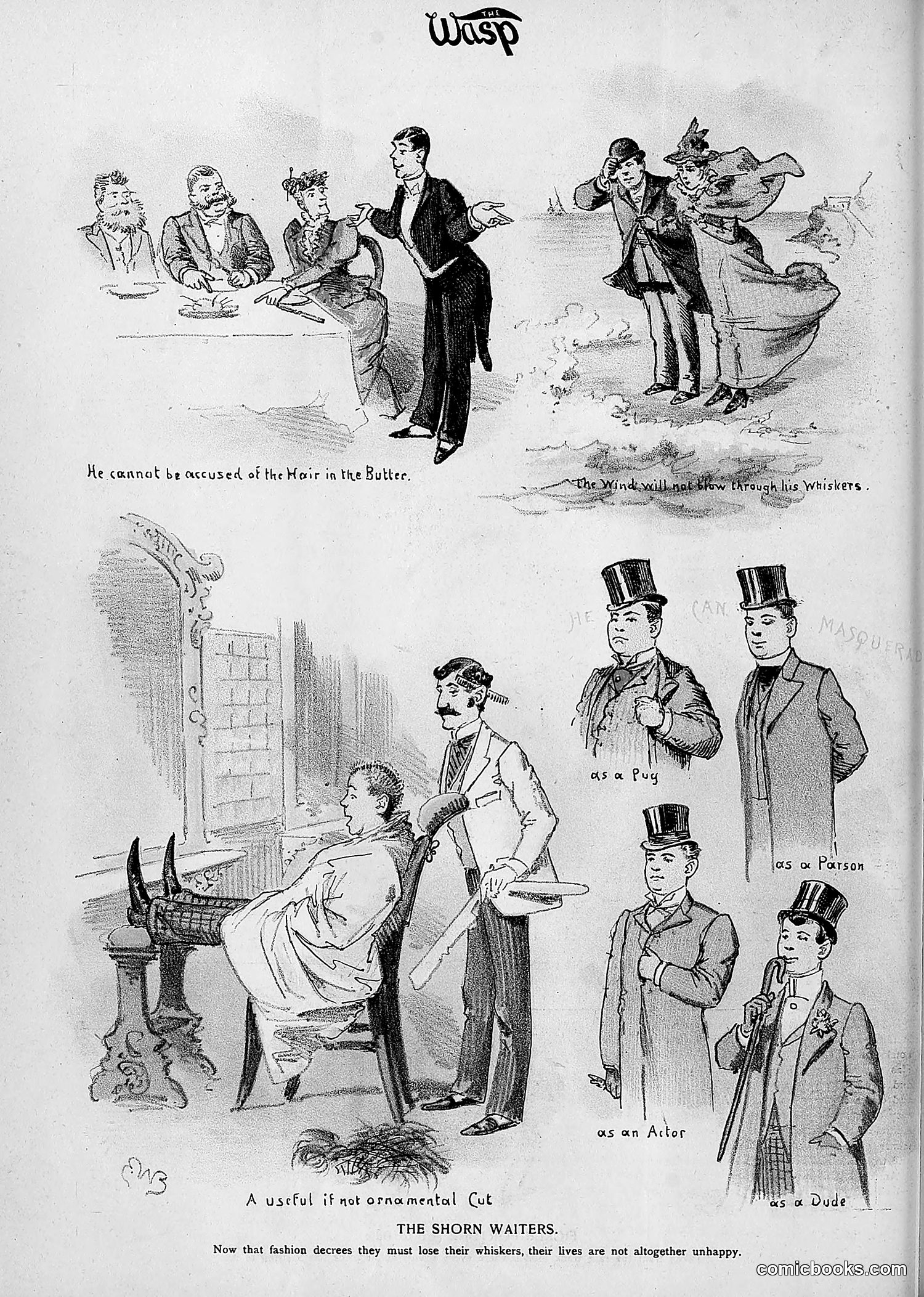 The Wasp — 1893 — page 375 of 514
