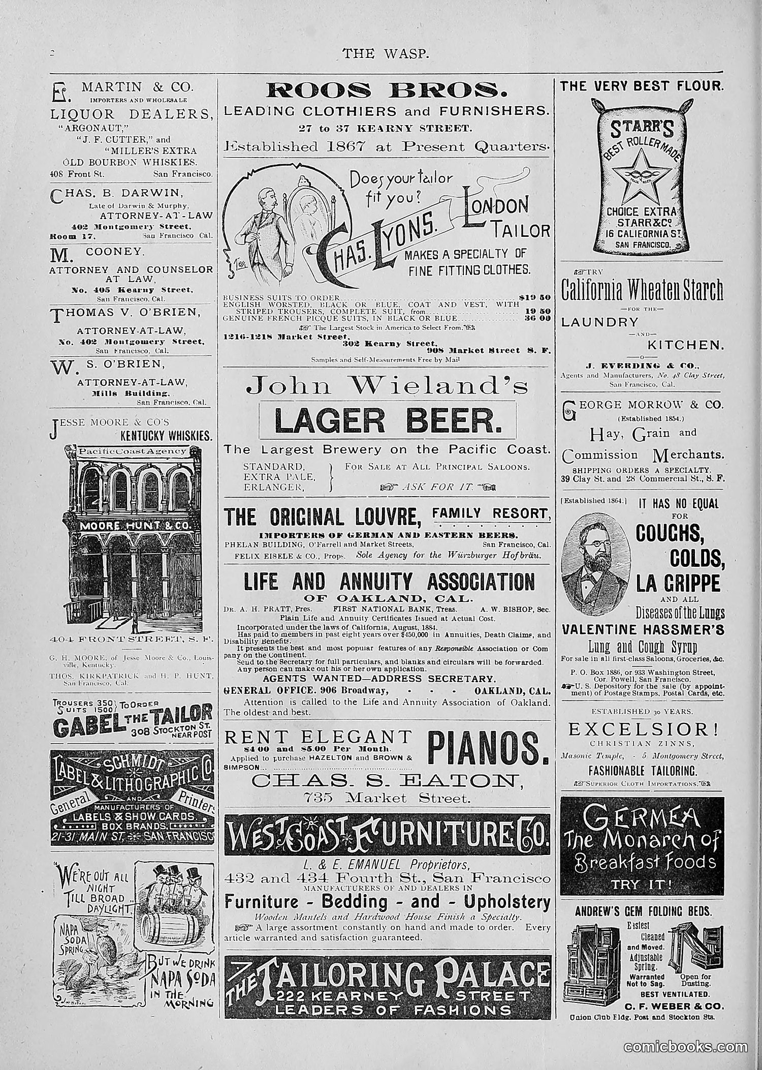 The Wasp — 1893 — page 377 of 514