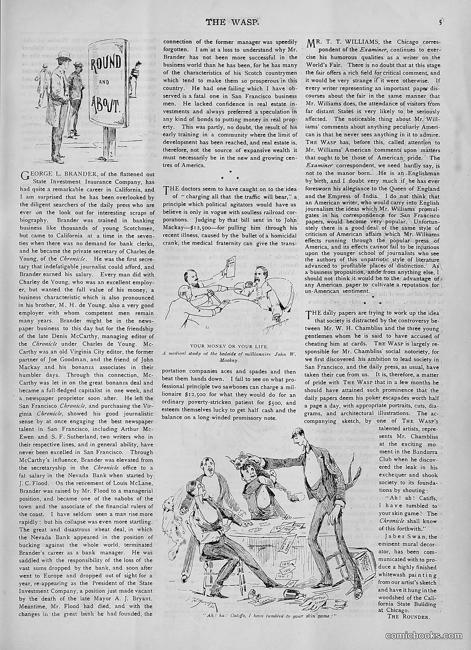 The Wasp — 1893 — page 380 of 514