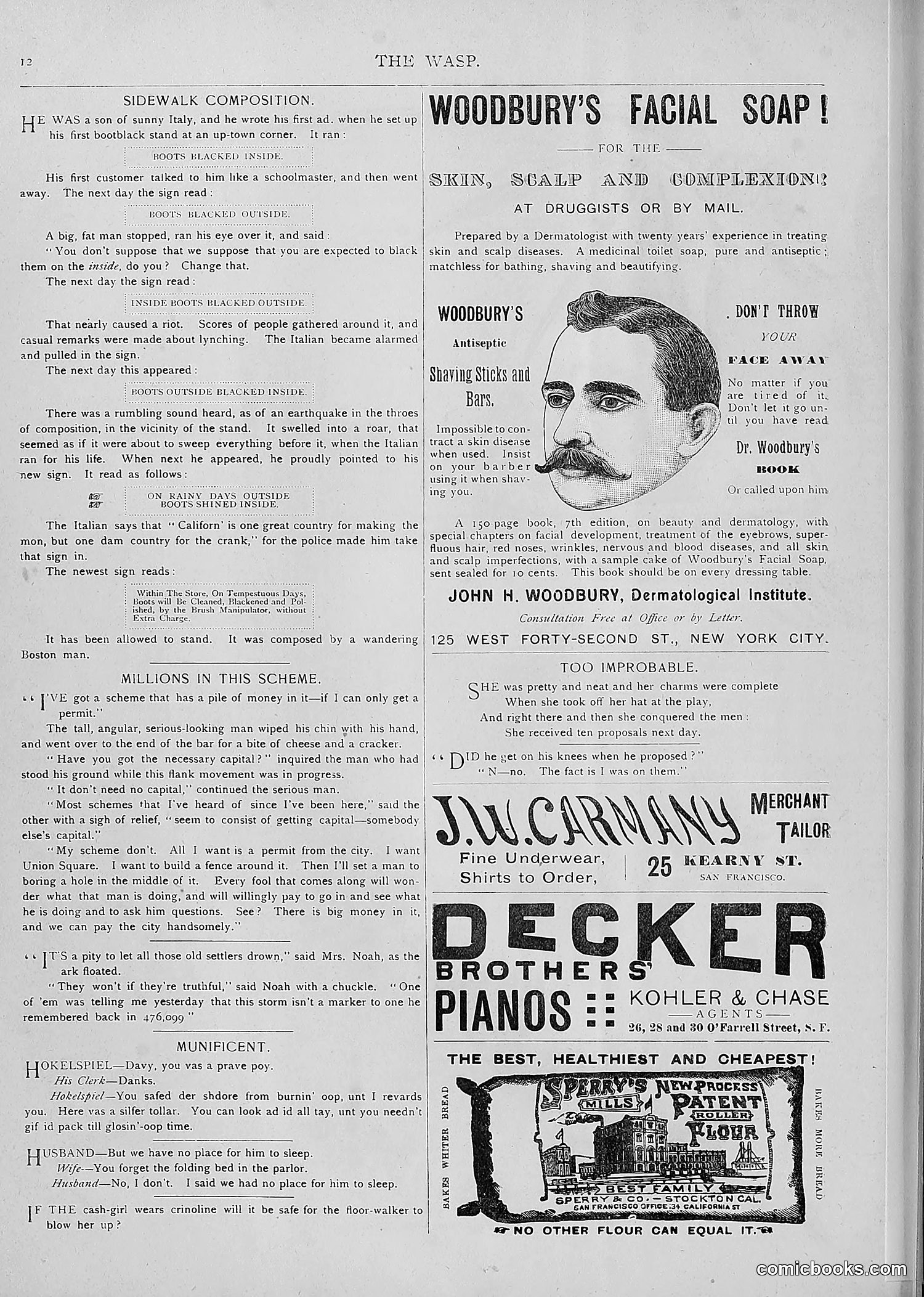 The Wasp — 1893 — page 387 of 514
