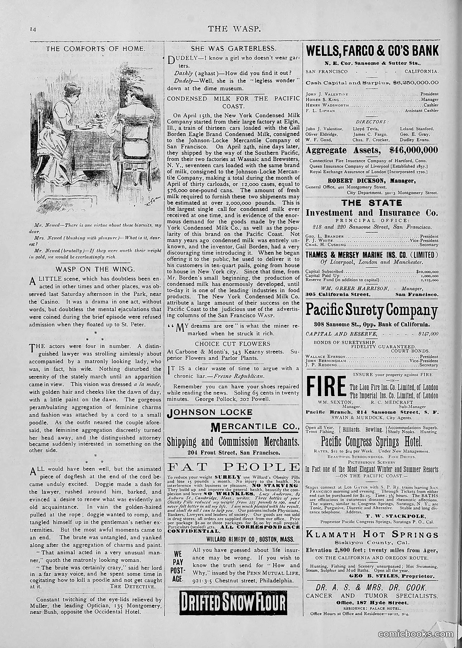 The Wasp — 1893 — page 389 of 514