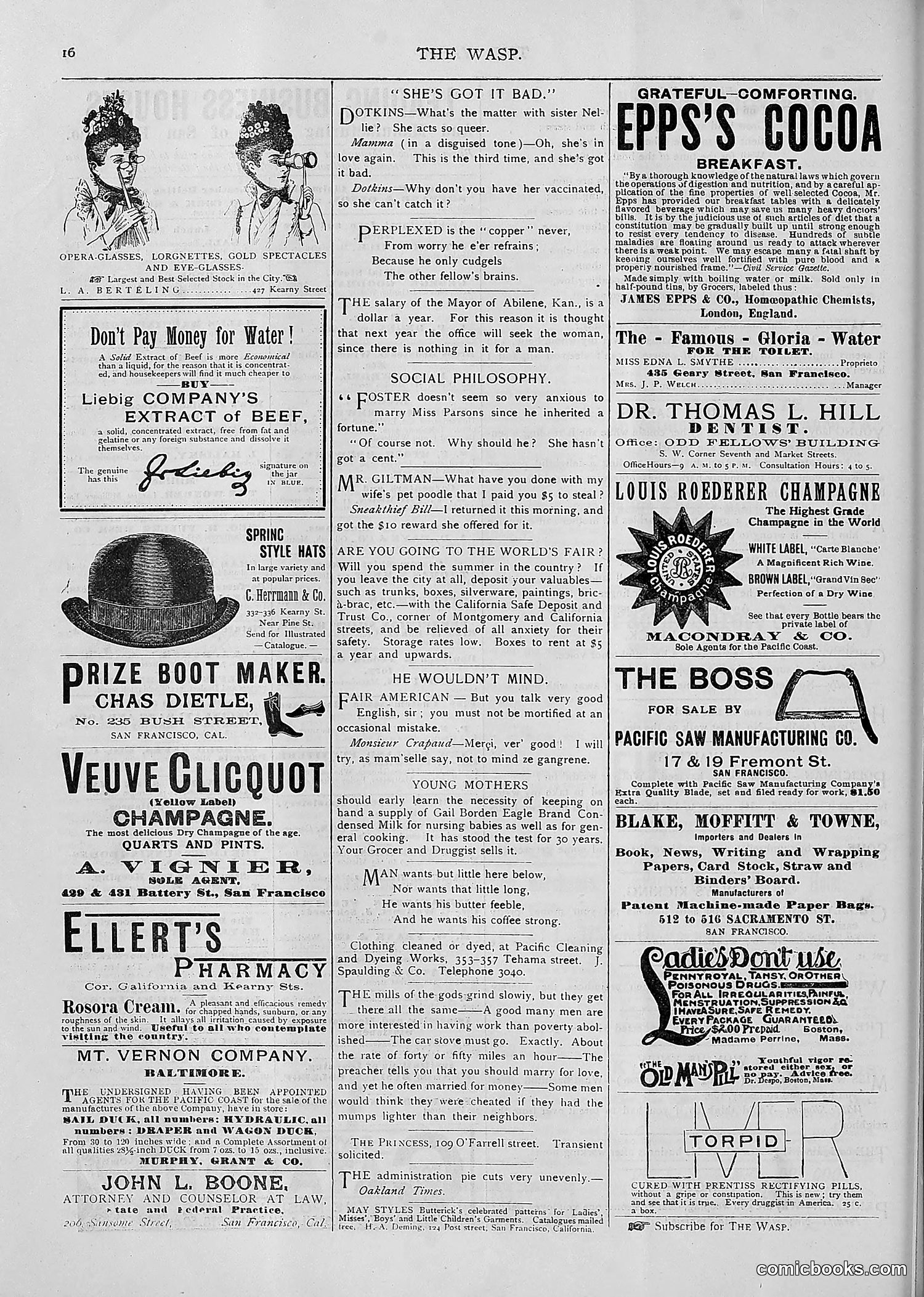 The Wasp — 1893 — page 391 of 514