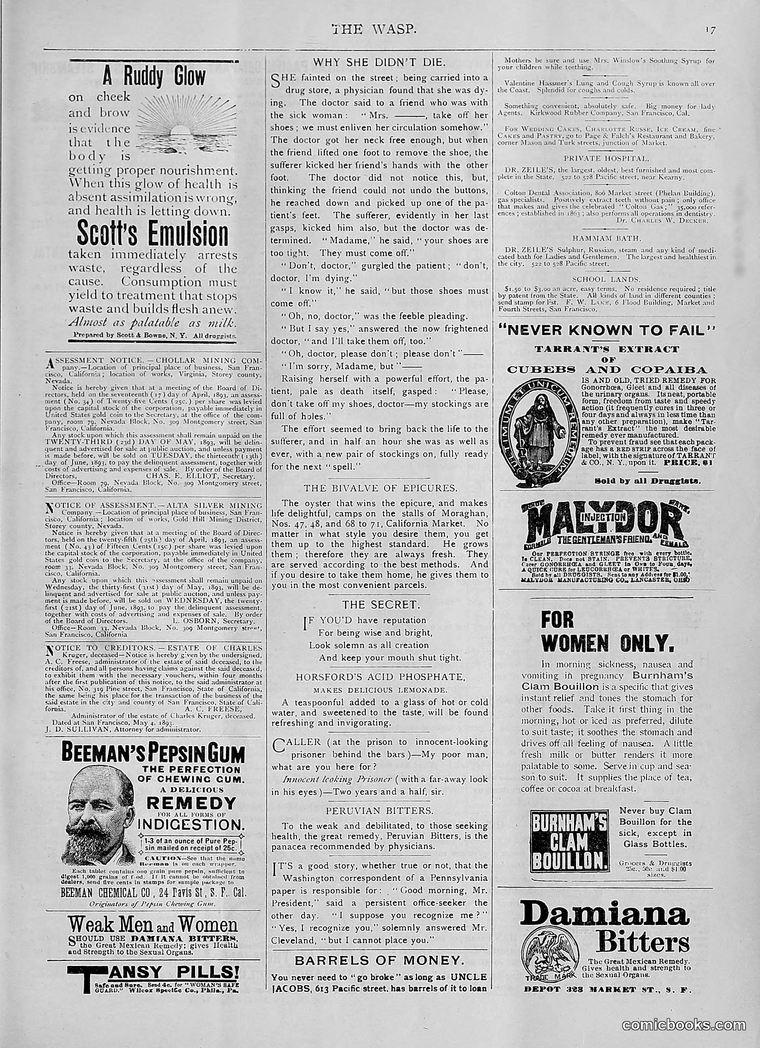 The Wasp — 1893 — page 392 of 514