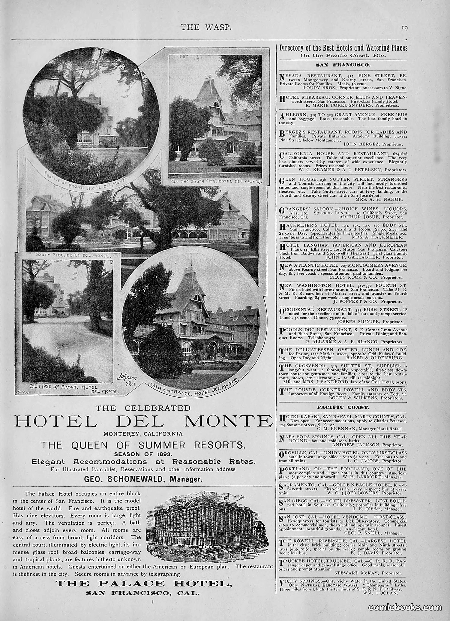 The Wasp — 1893 — page 394 of 514