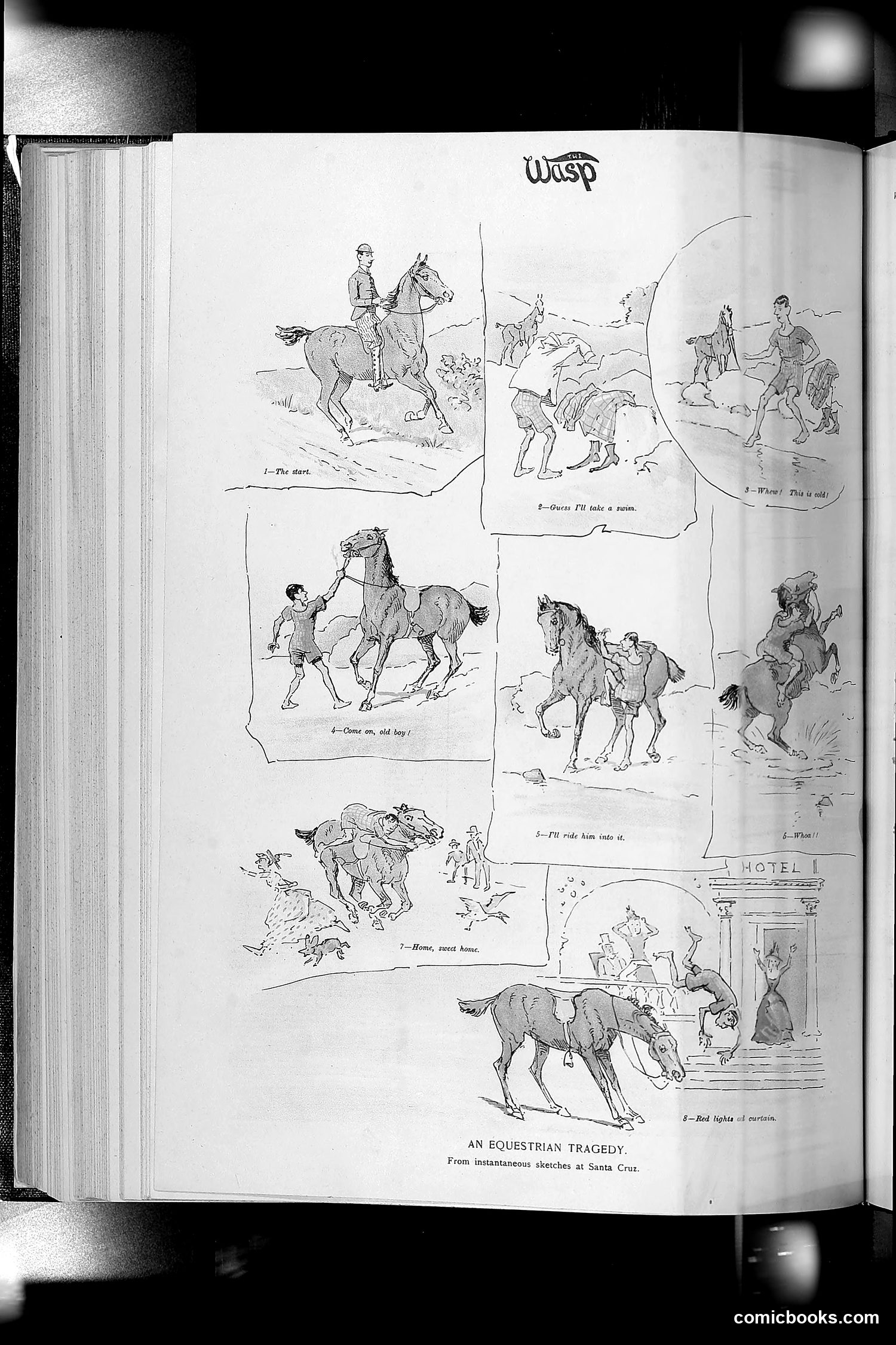 The Wasp — 1893 — page 395 of 514