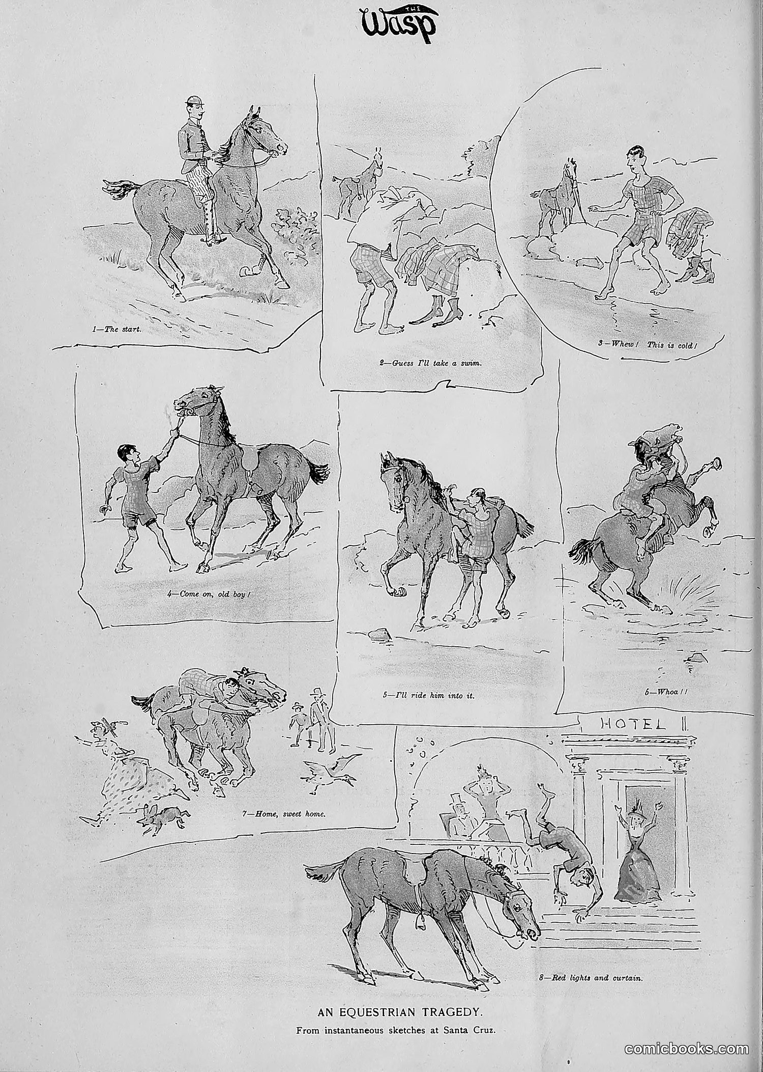The Wasp — 1893 — page 397 of 514