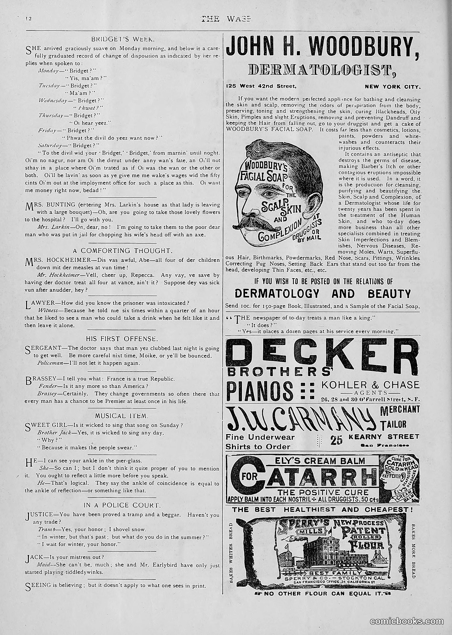 The Wasp — 1893 — page 41 of 514