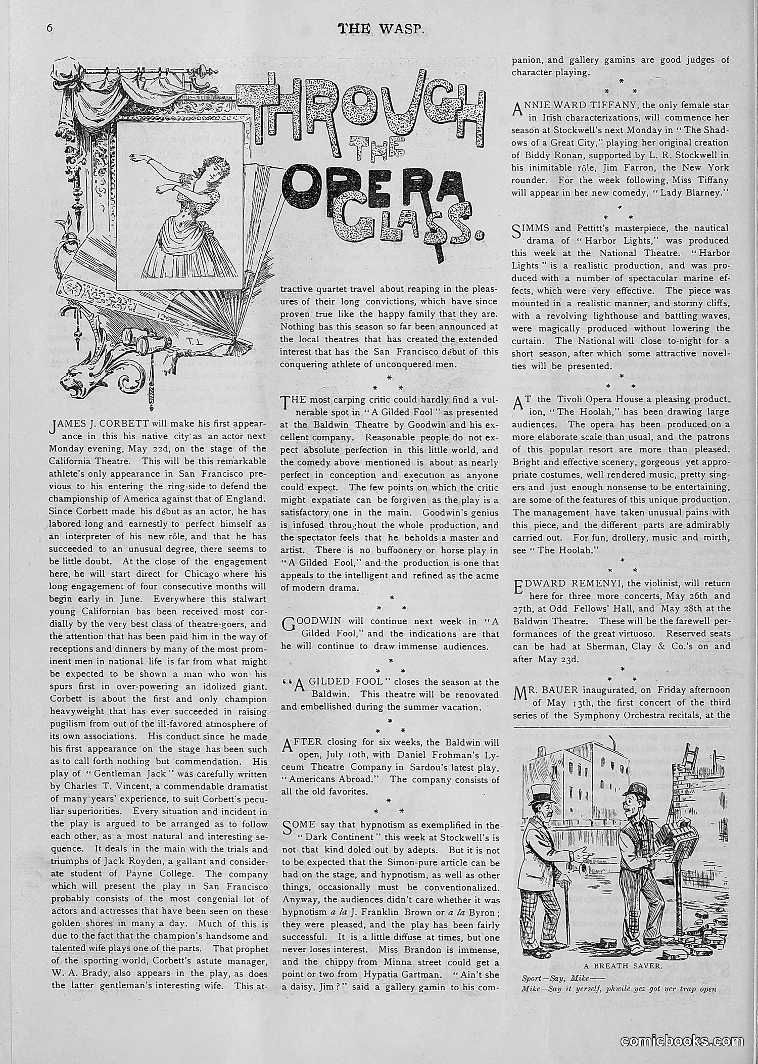 The Wasp — 1893 — page 403 of 514