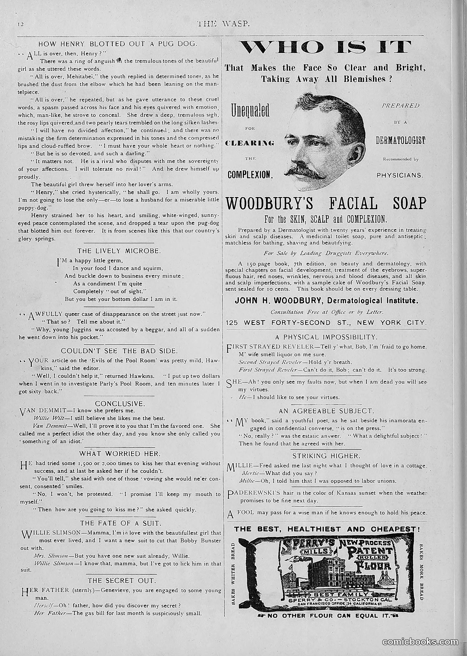 The Wasp — 1893 — page 409 of 514