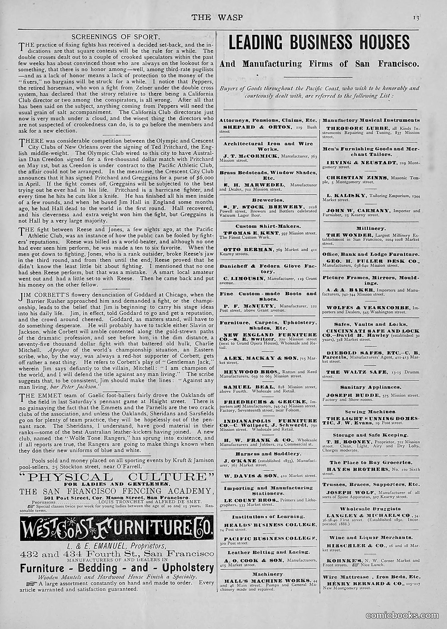 The Wasp — 1893 — page 42 of 514