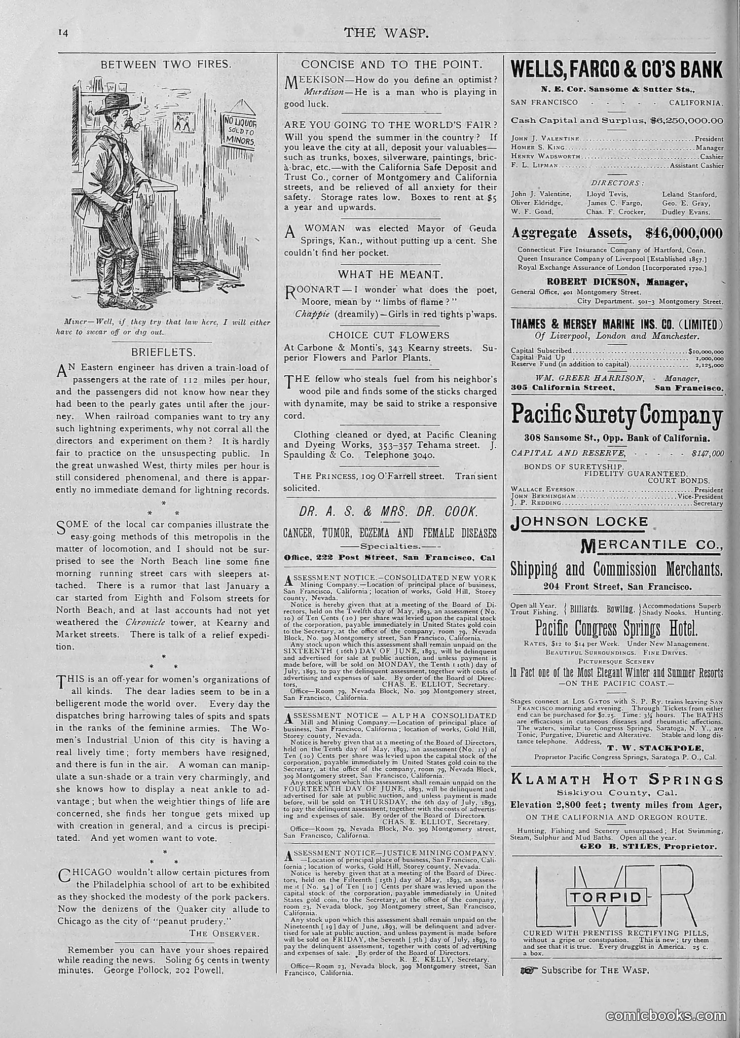 The Wasp — 1893 — page 411 of 514